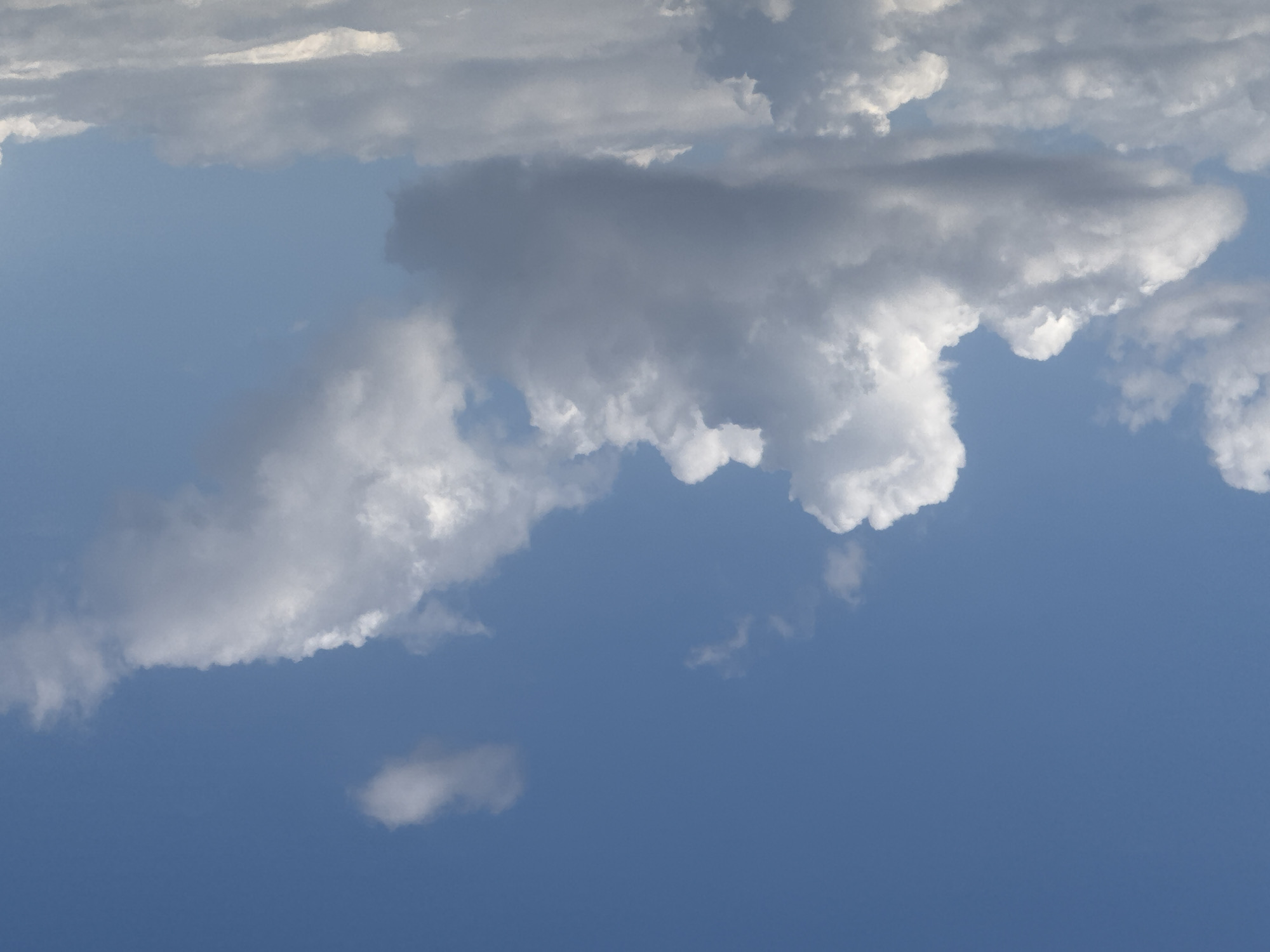 A wide-angle, eye-level shot captures a bright blue sky with scattered white and gray clouds. The clouds are fluffy and varied in size and density. The scene is devoid of any human presence or man-made structures. The image appears to be taken outdoors in a natural setting, possibly in Васильевка, Russia, given the context, though the image itself does not provide any specific geographical markers. The lighting suggests it is daytime, with sunlight illuminating the clouds from above.