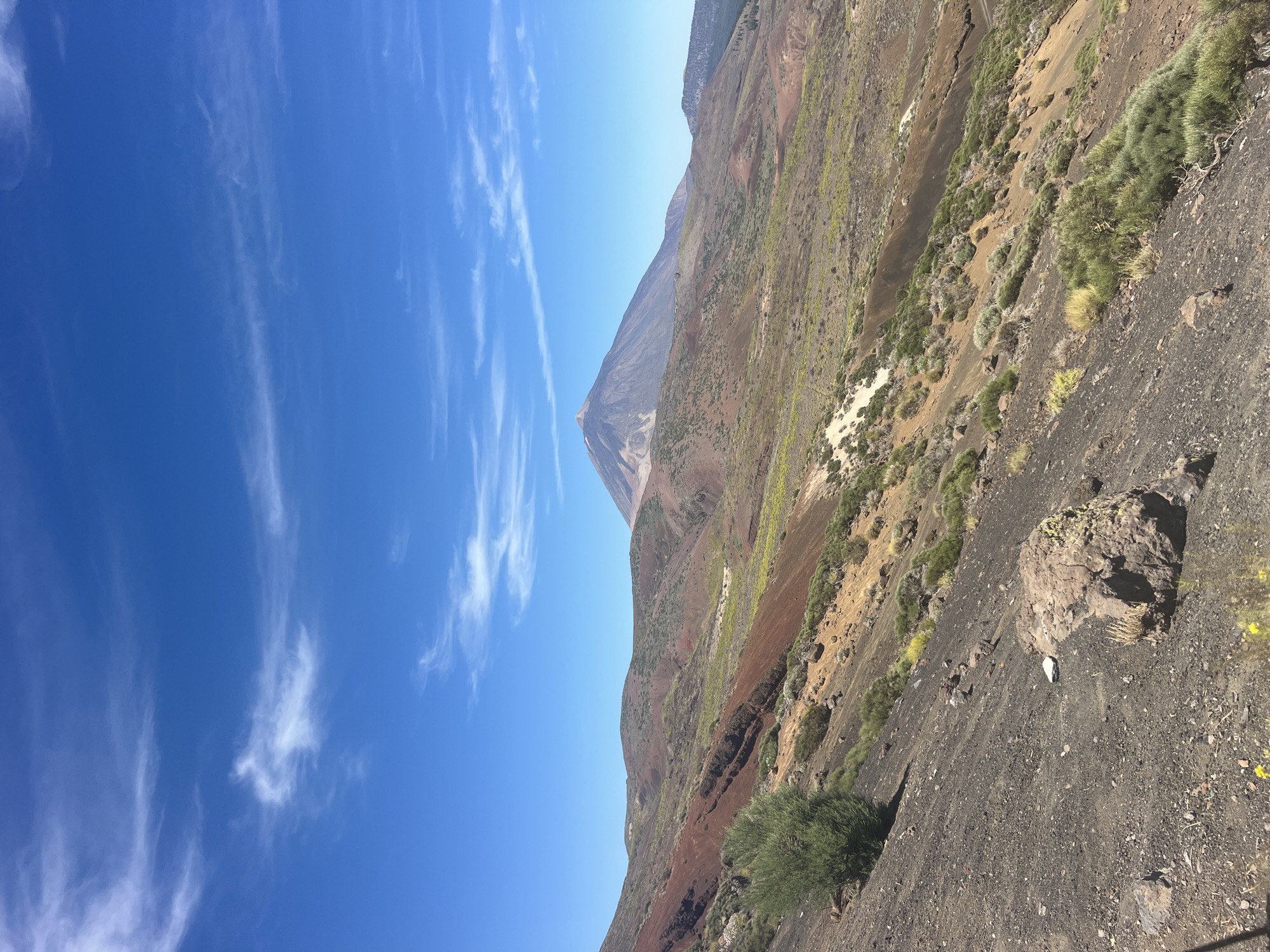 The image depicts a volcanic landscape with Mount Teide in the background. The foreground is characterized by dark, rocky terrain with sparse vegetation, including low-lying bushes and scattered rocks. The middle ground features rolling hills with reddish-brown soil, interspersed with patches of green scrub and some yellow wildflowers. In the distance, the conical shape of Mount Teide, a dormant volcano, dominates the horizon, its summit slightly obscured by a wispy white cloud. The sky is a vibrant blue with thin, feathery clouds scattered across it. The scene appears to be a daytime shot, under clear skies. The location is identified as being within the municipality of La Orotava, Spain, which is home to a significant portion of Teide National Park. There are no people or man-made structures visible in the image, emphasizing the natural, rugged environment.