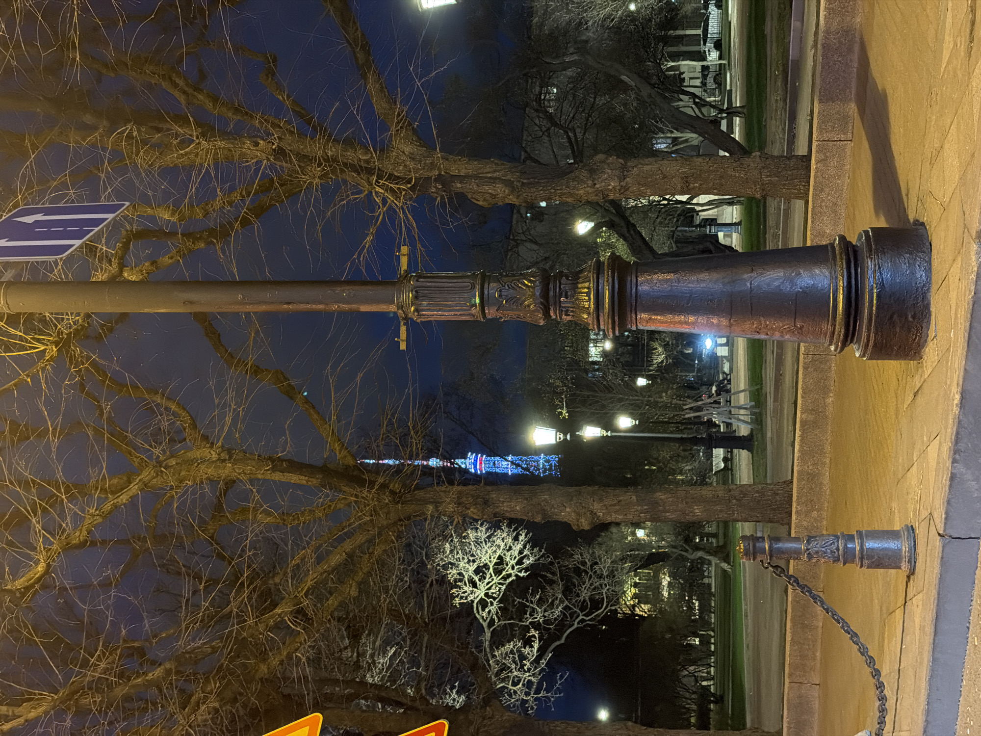 The image depicts a tranquil nighttime scene in Saint Petersburg, Russia, likely within a park or along a city boulevard. The sky is a deep, dark blue, characteristic of night, and the area is illuminated by artificial lights.
In the foreground, a large, ornate street lamp stands prominently, its dark metal structure featuring intricate decorative patterns and golden accents. To its left, a simpler pole holds a blue road sign with a white arrow pointing left. Bare trees with complex, interlacing branches dominate the mid-ground, their forms silhouetted against the dark sky and gently highlighted by the ambient light, suggesting late autumn or winter. One specific tree in the middle-ground is noticeably brighter, illuminated with white light, making its branching structure stand out.
In the distance, a tall, slender structure, possibly a communication or observation tower, is brightly lit with a vibrant display of red, blue, and white lights. Other streetlights, similar in style to the main one but smaller, can be seen further down the path, casting warm glows.
A paved sidewalk or path runs along the right side of the frame. A smaller, decorative bollard or post, chained to the pavement, is visible in the bottom right corner. A partially cropped yellow sign with an orange border is visible at the very bottom left, but any text on it is unreadable. No people or specific activities are visible, contributing to the serene atmosphere of the illuminated urban landscape.