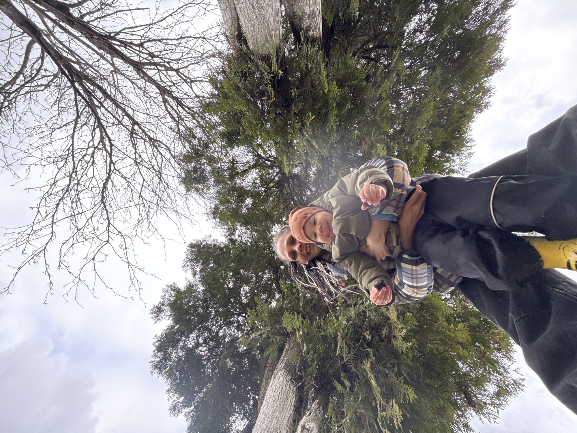 An adult and a young child are captured in a low-angle, upward-facing shot against a backdrop of trees and a cloudy sky. The image appears to be a selfie or a playful moment.
The adult, visible on the left side of the frame, has dreadlocks and is smiling, looking towards the camera. They are holding the child, who is positioned in front of them. The child, also smiling, is wearing a light brown knit hat and a green jacket over a plaid shirt. In their right hand, the child holds a small, dark object, possibly a rock or a pinecone. The adult is wearing dark pants, and a glimpse of what appears to be a bright yellow shoe or boot is visible on the far right.
The setting is outdoors, dominated by trees and the sky. On the left side of the upper frame, there's a deciduous tree with numerous bare branches, characteristic of winter or early spring. To the right and center, dense evergreen foliage from one or more conifer trees fills a significant portion of the background. The sky is overcast and bright, with visible clouds. The overall lighting suggests it's daytime but a grey, possibly damp, day. The upward perspective emphasizes the height of the trees and creates a dynamic composition. Both individuals appear happy and engaged. There is no visible text in the image.