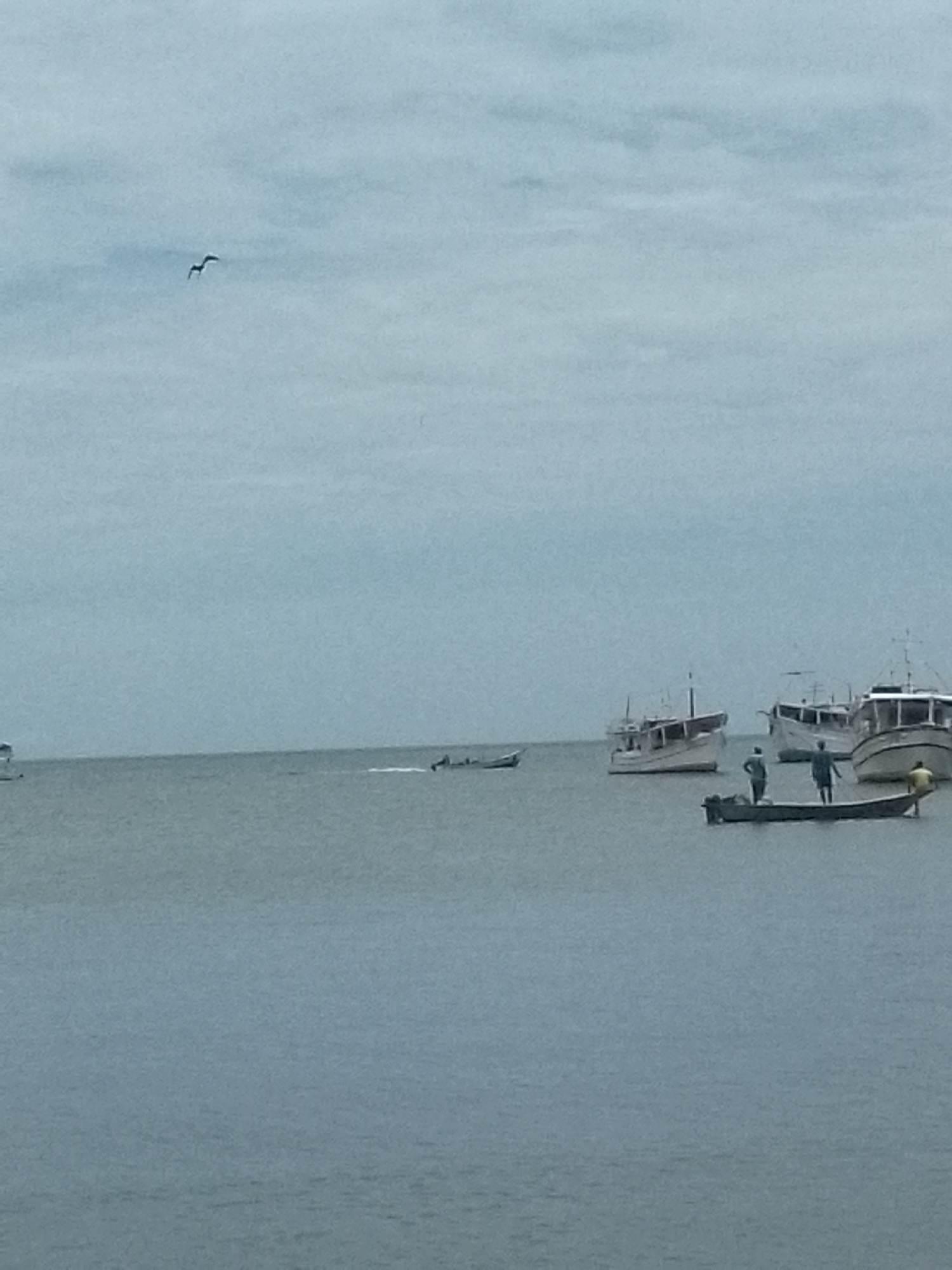 The image shows several boats on the water in Juan Griego, Venezuela. There are four large, moored boats with tall masts in the middle of the frame. To the right is a smaller, moving boat with what appears to be three people on board. There is also a bird flying above the boats. The sky is overcast and grey, and the water is calm.