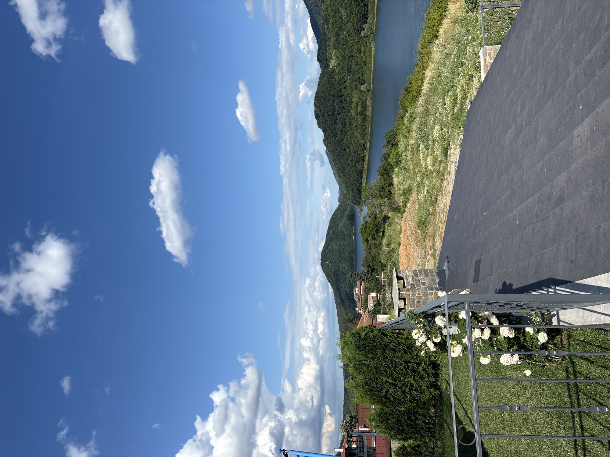 This is a vertical, eye-level, wide shot of a lake and hills, taken from a balcony with a tiled floor. In the foreground, a dark gray tiled floor runs diagonally from the bottom right to the middle left of the frame. To the left of the balcony, a gray metal railing runs vertically. In front of the railing, a patch of bright green grass is visible. White roses are blooming on a bush that is partially obscured by the railing. Behind the grass, a dark green evergreen bush is visible. Further back, several houses with red-tiled roofs are nestled amongst more evergreen bushes and trees. In the middle ground, a large body of blue water, a lake, stretches across the frame. The lake is surrounded by rolling green hills covered in lush trees. The sky above is a clear bright blue, dotted with fluffy white clouds.
