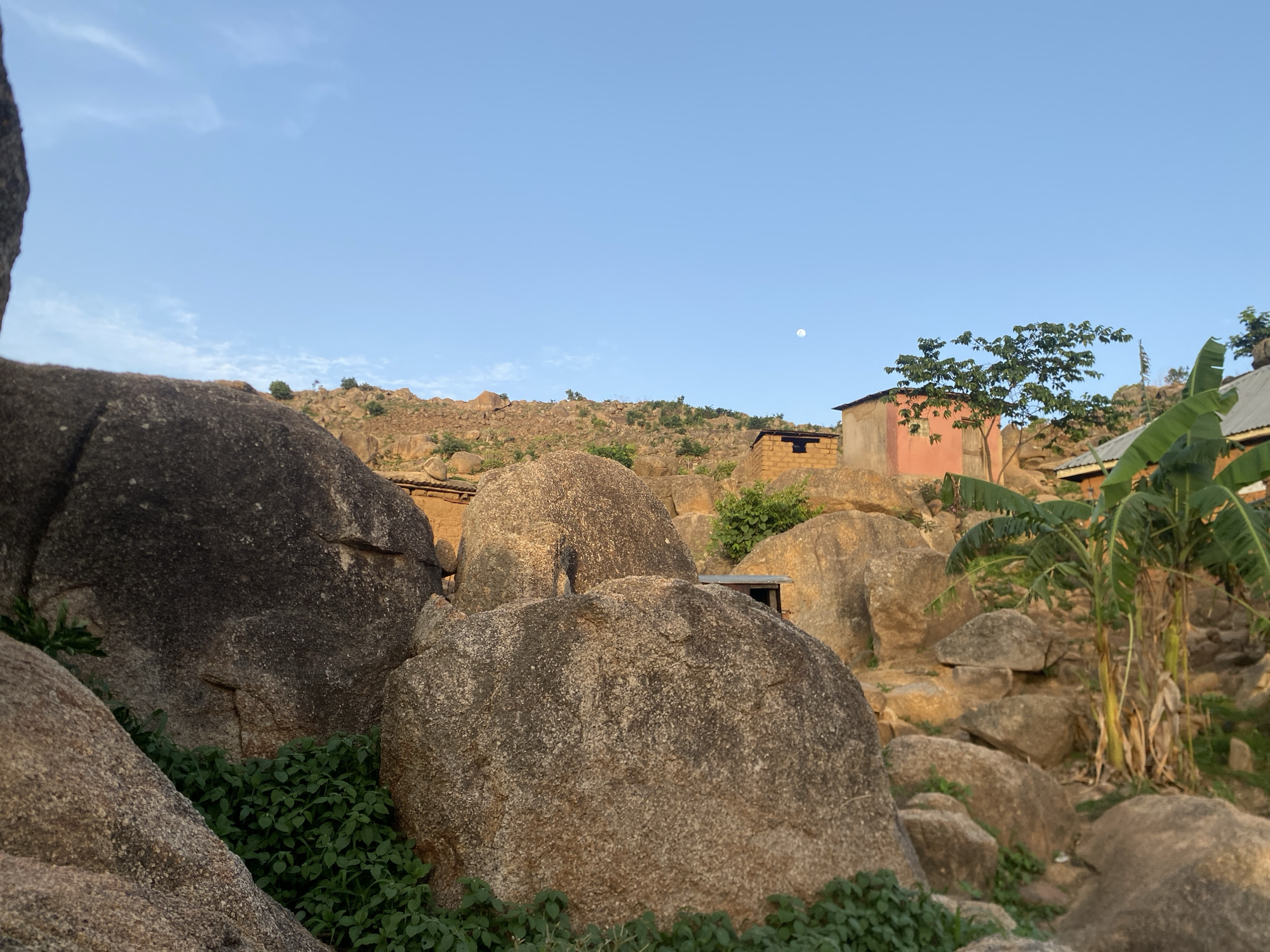 The image depicts a landscape in Jos, Nigeria, characterized by rocky terrain and interspersed with vegetation. Large, rounded boulders dominate the foreground, partially covered with patches of green ground cover. Several small buildings are nestled amongst the rocks in the midground, one of which is painted in a reddish-brown color. Banana trees are seen on the right. The background reveals a hilly landscape with sparse vegetation and more rocky outcrops. The sky is clear and pale blue, suggesting either early morning or late afternoon lighting, with the full moon clearly visible in the sky. The overall impression is a rural or semi-rural environment where buildings are integrated into the natural landscape.
