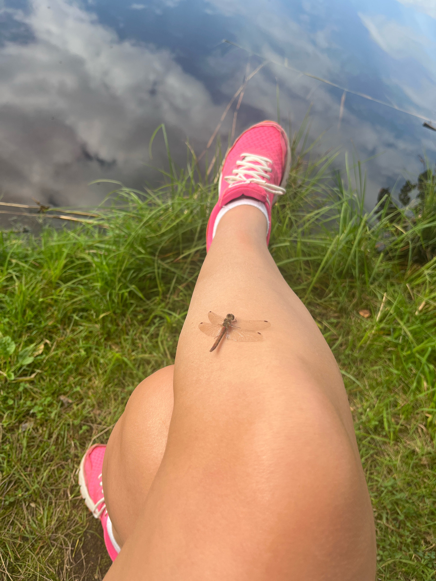 A close-up, top-down perspective shot captures a person's legs and feet adorned with bright pink athletic shoes, resting on a grassy bank next to a body of water. The water's surface reflects the sky and clouds, creating a muted, abstract pattern. A small, reddish-brown dragonfly is perched on the skin of the person's upper leg, its wings spread. The environment appears to be a natural outdoor setting, possibly a park or a lakeside area in Raudoja, Estonia, given the lush green grass and calm water. The lighting suggests it is daytime, with soft natural light illuminating the scene.