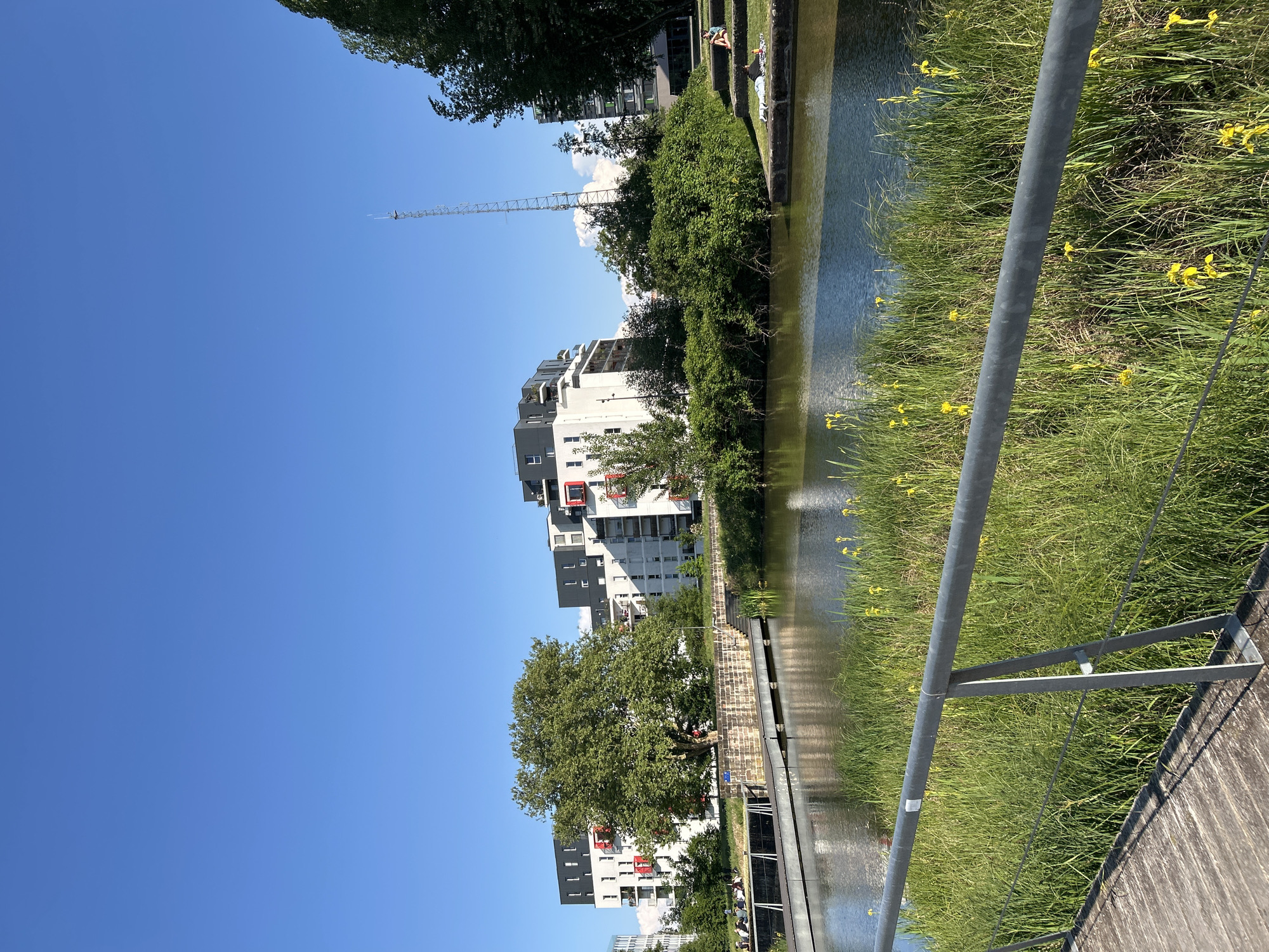 The image shows a canal scene in Strasbourg, France on a sunny day. The canal is lined with tall grasses and yellow irises on the right side, where a metal railing and wooden walkway are present. Across the canal, there are modern apartment buildings with white facades and gray roofs, some with red balcony accents. A tall communication tower is visible in the distance behind the buildings. People are visible on the opposite bank, some relaxing on grassy steps. The sky is clear and blue.