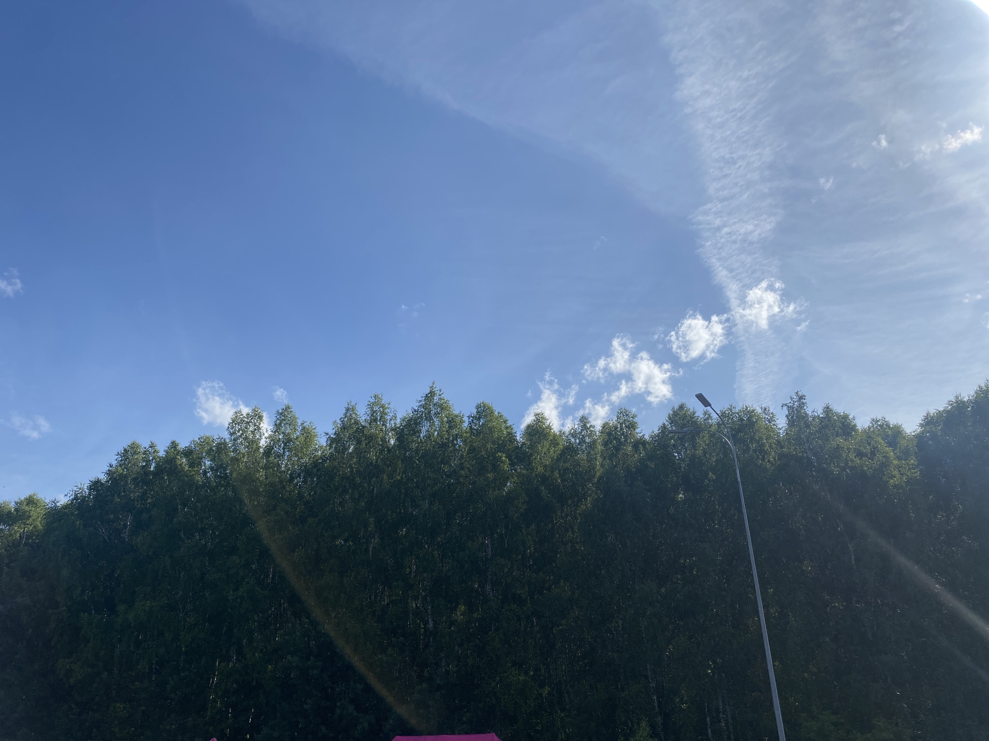 The image depicts a wide shot of a treeline under a bright blue sky with wispy clouds. The trees are dense and dark green, forming a solid barrier across the middle of the frame. A tall, slender streetlamp stands to the right of the treeline, its pole extending upwards into the sky. Sunlight streams in from the upper right corner, creating lens flare and casting rays across the scene. In the lower foreground, a small section of a pink structure is visible, suggesting a building or an event. The overall impression is one of a natural landscape meeting urban infrastructure under a clear sky.