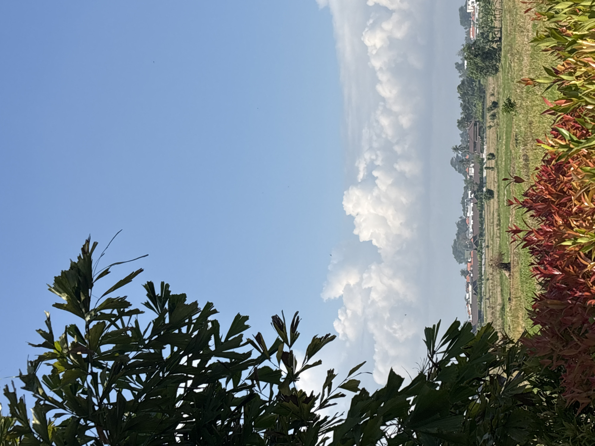 View from Cemagi, Indonesia. A blue sky with white clouds dominates the left, above dark green foliage. To the right, a field, light green and yellow, with trees and buildings in the distance. Red and green foliage lines the right edge.