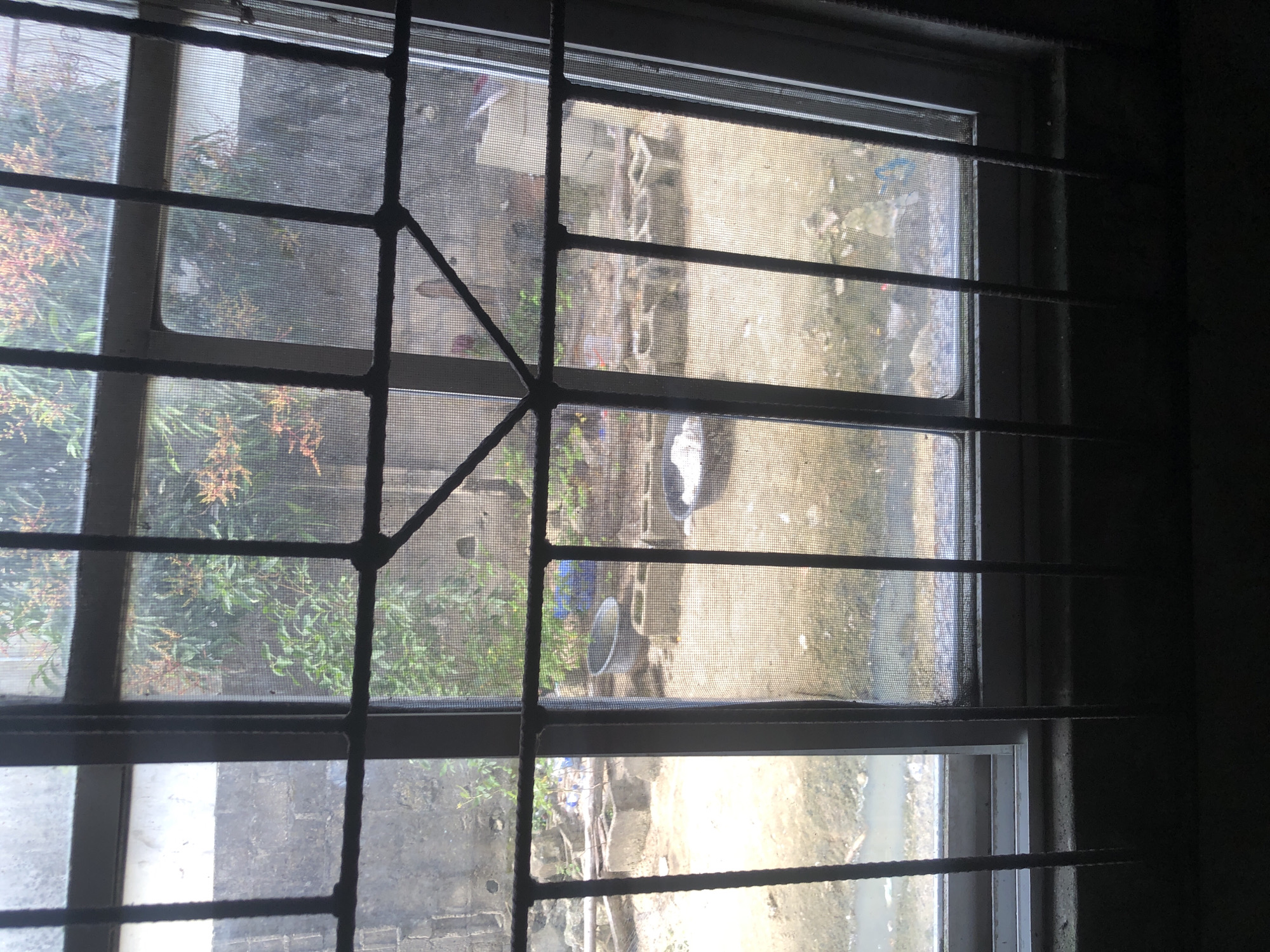 The image shows a view through a barred window, looking out onto a somewhat overgrown and unkempt outdoor space. The window has two panes, with a vertical metal bar separating them, and horizontal bars in the foreground. Through the window, one can see a wall constructed of rough, grey concrete blocks to the left. Beyond this, the ground appears to be dirt and debris, with some puddles of water. There are several concrete structures, possibly planters or foundations, arranged in rows. A large, dark grey plastic basin is visible, and further back, what appears to be a white cloth item is placed in another basin. Green foliage and trees with red-orange blossoms are visible in the background, suggesting vegetation. The overall impression is of a residential outdoor area, possibly a backyard or courtyard, in a warm climate. Given the context of Ado, Nigeria, this scene likely depicts a typical residential environment.