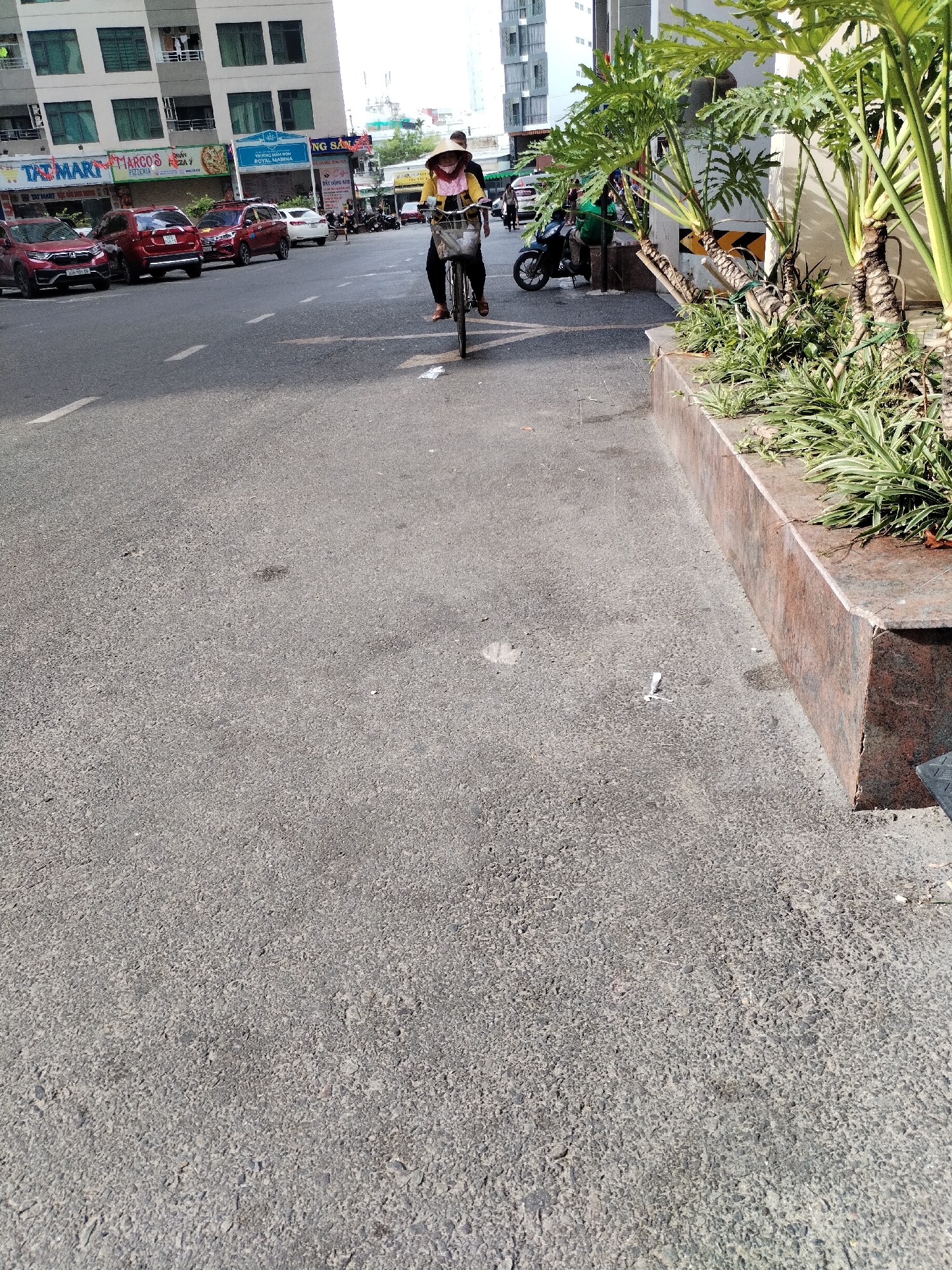 Here is a detailed description of the image:
**Scene Overview:**
The image presents an urban street scene in Bac Nha Trang Ward, Vietnam, during daylight. The perspective is ground-level, capturing a broad view of the street and sidewalk.
**Specific Details:**
* **Road and Traffic:** The road takes up a significant portion of the image. Cars and vehicles are visible on the road, including red SUVs.
* **Person on Bicycle:** A person wearing a traditional conical hat is riding a bicycle in the street.
* **Vegetation and Sidewalk:** To the right of the road, there's a raised planter filled with greenery and small trees. This planter forms the edge of the sidewalk.
* **Urban Elements:** The background includes buildings, with restaurant store signs present. These establishments give the area a commercial feel.
* **Environmental Conditions:** The scene is well-lit, suggesting a sunny day.
**In Summary:**
The image captures a typical day in Bac Nha Trang Ward, Vietnam, featuring vehicular traffic, pedestrian activity (person on the bike), and urban infrastructure blended with greenery along the roadside.