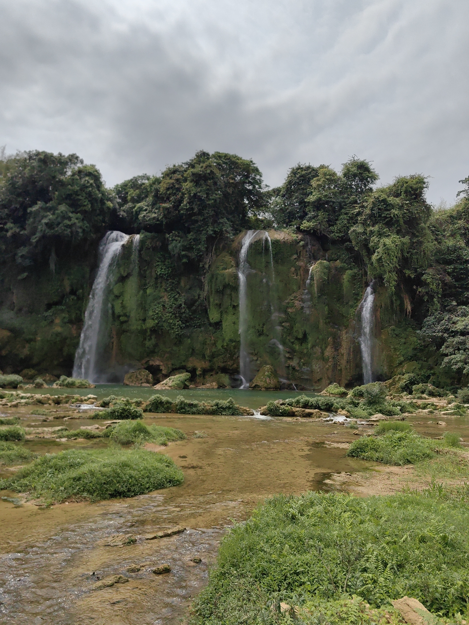 The image depicts the Ban Gioc–Detian Falls, located in Daxin County, China. The waterfall cascades over a moss-covered rocky cliff face into a shallow, clear pool. The cliff face is lined with trees. The foreground consists of a shallow riverbed with patches of green vegetation. The sky is overcast.