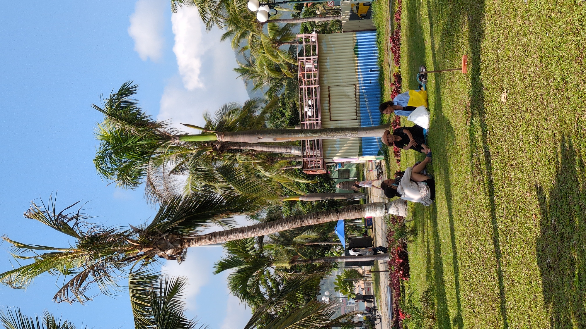 In South Quy Nhon Ward, Vietnam, a daytime scene depicts a park area with multiple individuals. Three adult females are seated on a green grass lawn in the foreground. The woman on the left wears a light-colored long-sleeved top and dark shorts, facing right. The central woman wears a dark top, dark trousers, and a wide-brimmed straw hat, facing slightly right. The woman on the right wears a light blue long-sleeved shirt and dark trousers, facing left towards the other two. A white plastic bag and a yellow fabric bag are on the grass to their right.
Behind the seated women, a paved pathway runs horizontally. Several pedestrians are visible on this path, including one individual in a white hoodie walking from right to left. Numerous tall palm trees with green fronds are interspersed throughout the park, casting shadows on the grass. Some palm fronds show signs of browning.
In the mid-ground, to the right of center, stands a two-story structure. The lower level is a corrugated metal container painted with horizontal stripes of light beige/white and blue. The upper level features an open-air balcony with a light-colored railing, containing several white spherical objects. To the right of this structure, a multi-headed streetlight with spherical lamps is present. A blue umbrella or canopy is visible further back on the left side of the mid-ground.
The background reveals a body of water, likely the sea, and distant mountains on the horizon. The sky is clear blue with scattered white clouds. A distinct shadow from an unseen object or another palm tree is cast across the foreground grass. A small brown stick with a rectangular base is visible staked into the grass in the lower right corner. Reddish-purple foliage borders parts of the grass and structures.