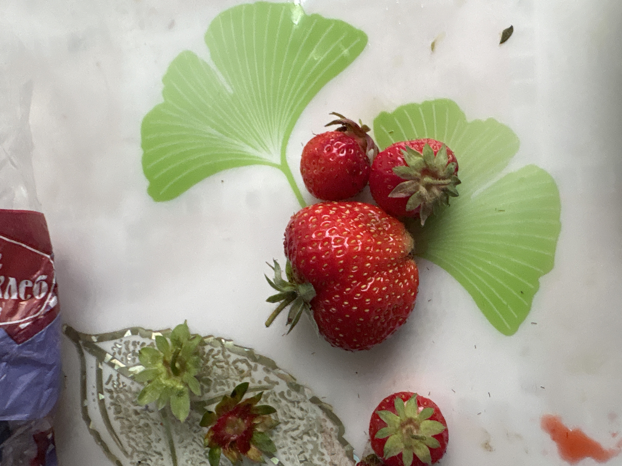A close-up, overhead shot shows several ripe strawberries on a white surface with a decorative green leaf pattern. To the left, a strawberry with its green stem and leaves intact sits near a detached, slightly wilted strawberry top. A larger, heart-shaped strawberry is positioned centrally, with two smaller strawberries below and to its right. A splash of red liquid, possibly juice, is visible in the bottom left corner. A partially visible purple and red plastic bag is in the upper left portion of the frame. The scene is indoors, on a white, patterned surface, possibly a plate or tray. There are no people present, and the image appears to be a still life composition. The specific location within Siniy Gay, Russia, is not discernible from the image.
