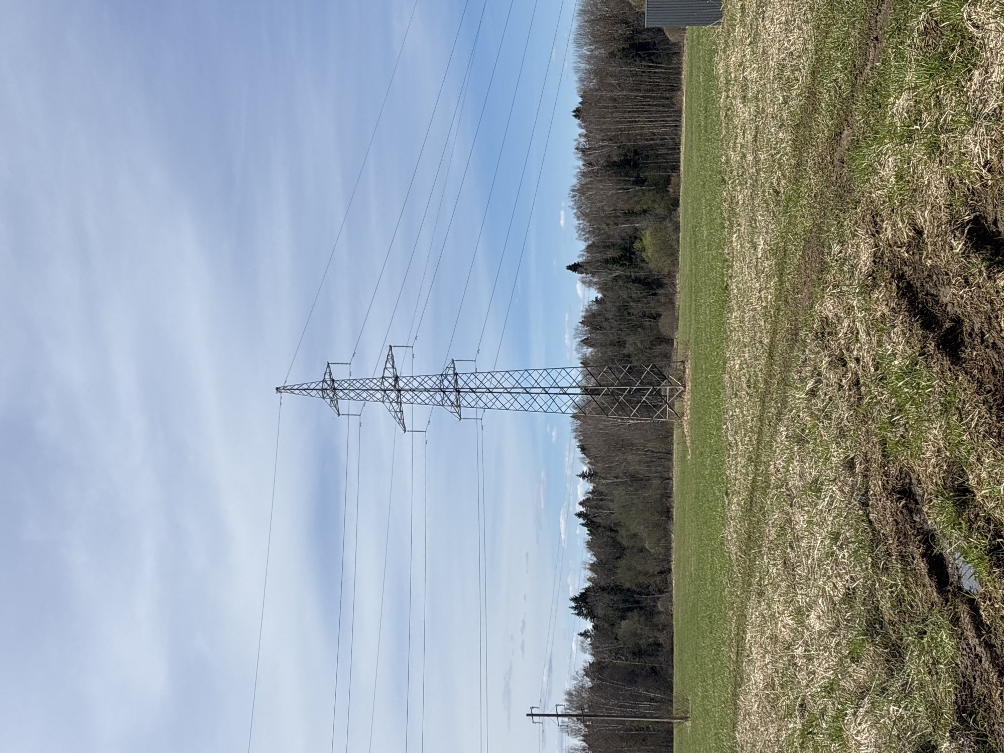 A landscape in Раздолье, Russia, features a tall, metal power line tower in the center of the frame. Multiple power lines extend from the tower. To the right of the tower is a field with a mix of green grass and dry, brown vegetation. A forest line is visible behind the field. The sky above is light blue with scattered clouds.
