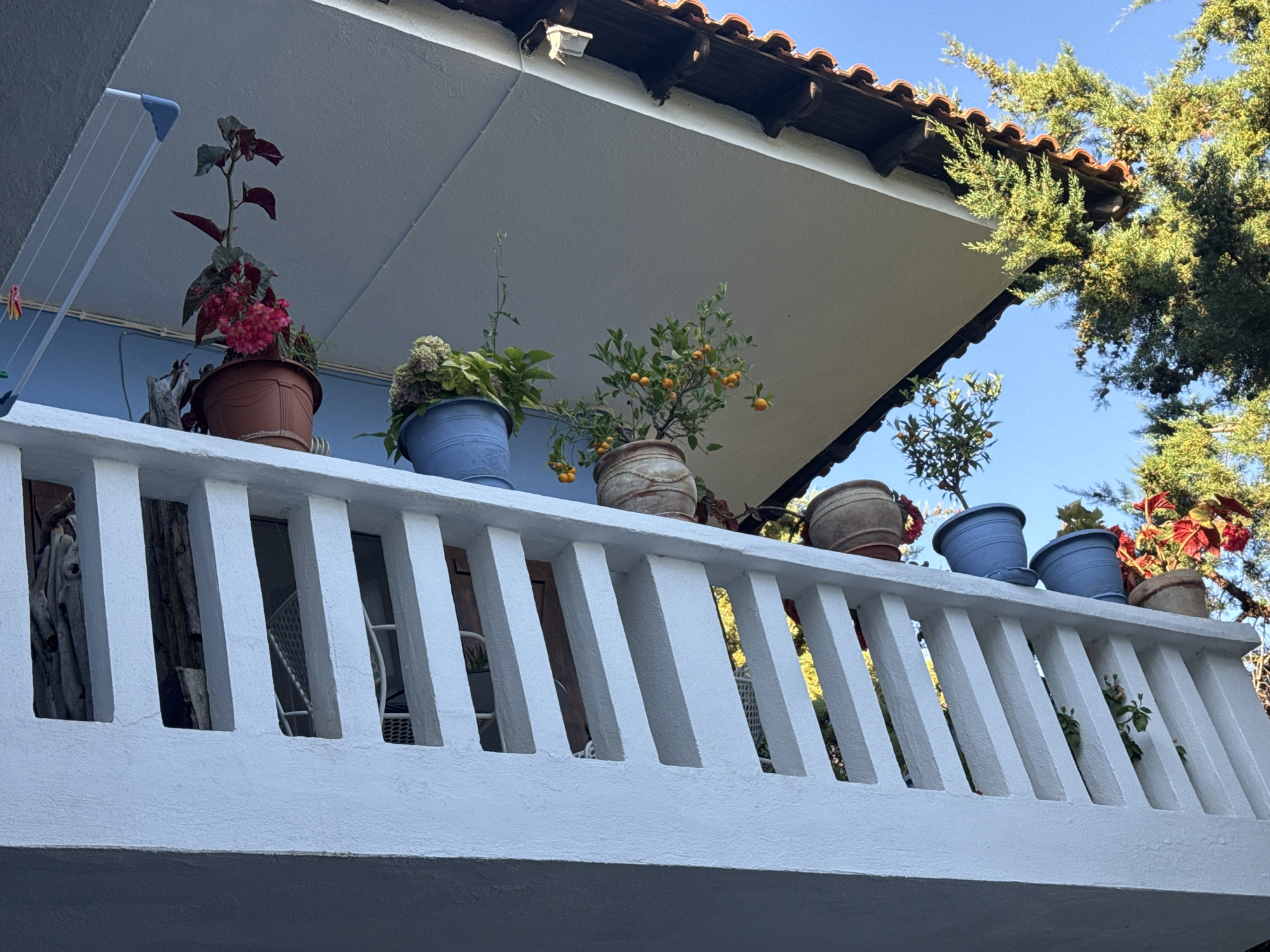 An outdoor balcony railing in Ammouliani, Greece, is lined with potted plants under a tiled roof. The railing is painted white and has evenly spaced vertical slats. Various potted plants, including flowering plants, a small citrus tree with fruit, and hydrangea, are visible on the balcony behind the railing. In the background, lush green trees and a clear blue sky are present. A clothesline is attached to the side of the building above the balcony.
