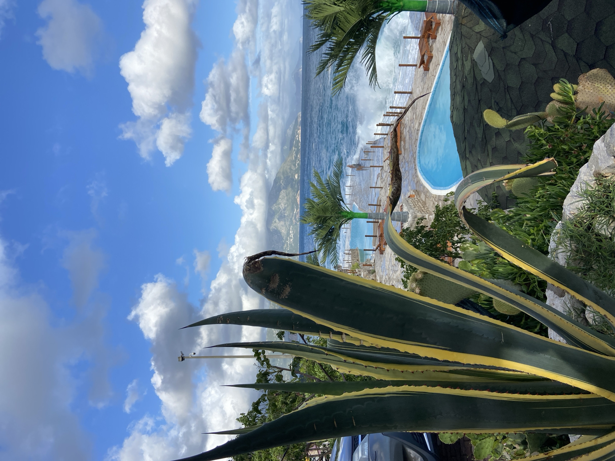 The image shows an agave plant with long, pointed leaves with yellow edges in the foreground. Behind it is a swimming pool with blue water, located next to the sea. Waves are crashing against the shore. Palm trees are visible near the pool. In the background, a mountainous landscape is partially obscured by clouds. The sky is blue with scattered clouds. The image is taken at a slight angle. A portion of a dark car is visible near the bottom. The location appears to be coastal. It appears to be a resort with a swimming pool facing the sea, possibly in or near Prijevor, Montenegro.