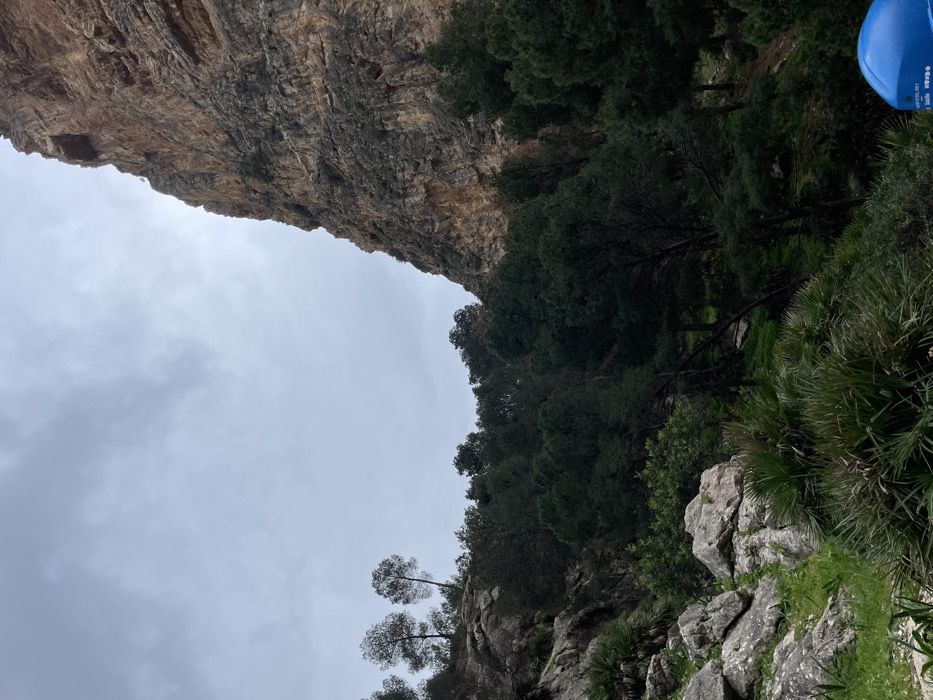 This image captures a rugged, natural landscape, characteristic of a mountainous or canyon environment like El Chorro, Spain. The scene is dominated by a colossal, textured rock face or cliff, which towers vertically along the right side of the frame, displaying various shades of brown and grey.
To the left and at the base of this towering cliff, the terrain is covered with dense, dark green vegetation. Numerous trees, primarily appearing to be pines, grow on the slopes, interspersed with smaller shrubs and spiky, palm-like plants visible in the foreground and lower left. Exposed grey rocks are scattered among the foliage.
The left side of the image is largely occupied by an overcast, grey sky filled with thick clouds, indicating a cloudy day with diffused lighting.
In the upper left corner, a partial view of a bright blue object is visible. It appears to be made of plastic and features white text, with partially legible words including "COMPRESS" and "KEY", along with fragmented letters that suggest "made in". This object is likely a piece of outdoor equipment, such as a helmet, backpack, or container.
No people are visible, and no specific activity is explicitly depicted, but the natural, challenging environment strongly implies outdoor recreational pursuits like hiking or climbing.