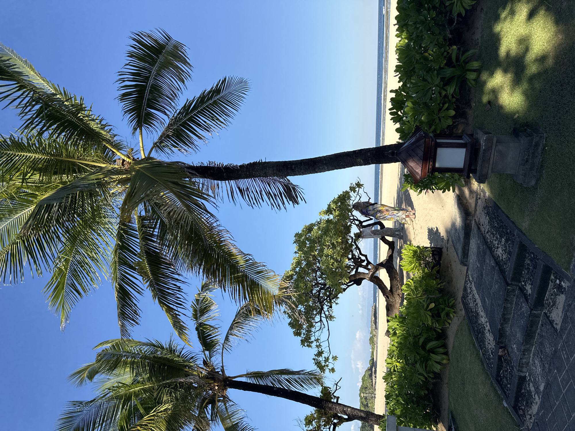 The image depicts a sunny beach scene in Kuta Selatan, Indonesia. Palm trees are prominent on the left, their fronds reaching towards a clear blue sky. Adjacent to the palms, there's a tree with wider leaves providing shade. The beach itself is sandy, leading to a calm, turquoise ocean. Two people stand near a traditional wooden lantern post on the beach. Lush greenery and stone steps border the sand, creating a defined edge between the beach and what appears to be a pathway or garden.
