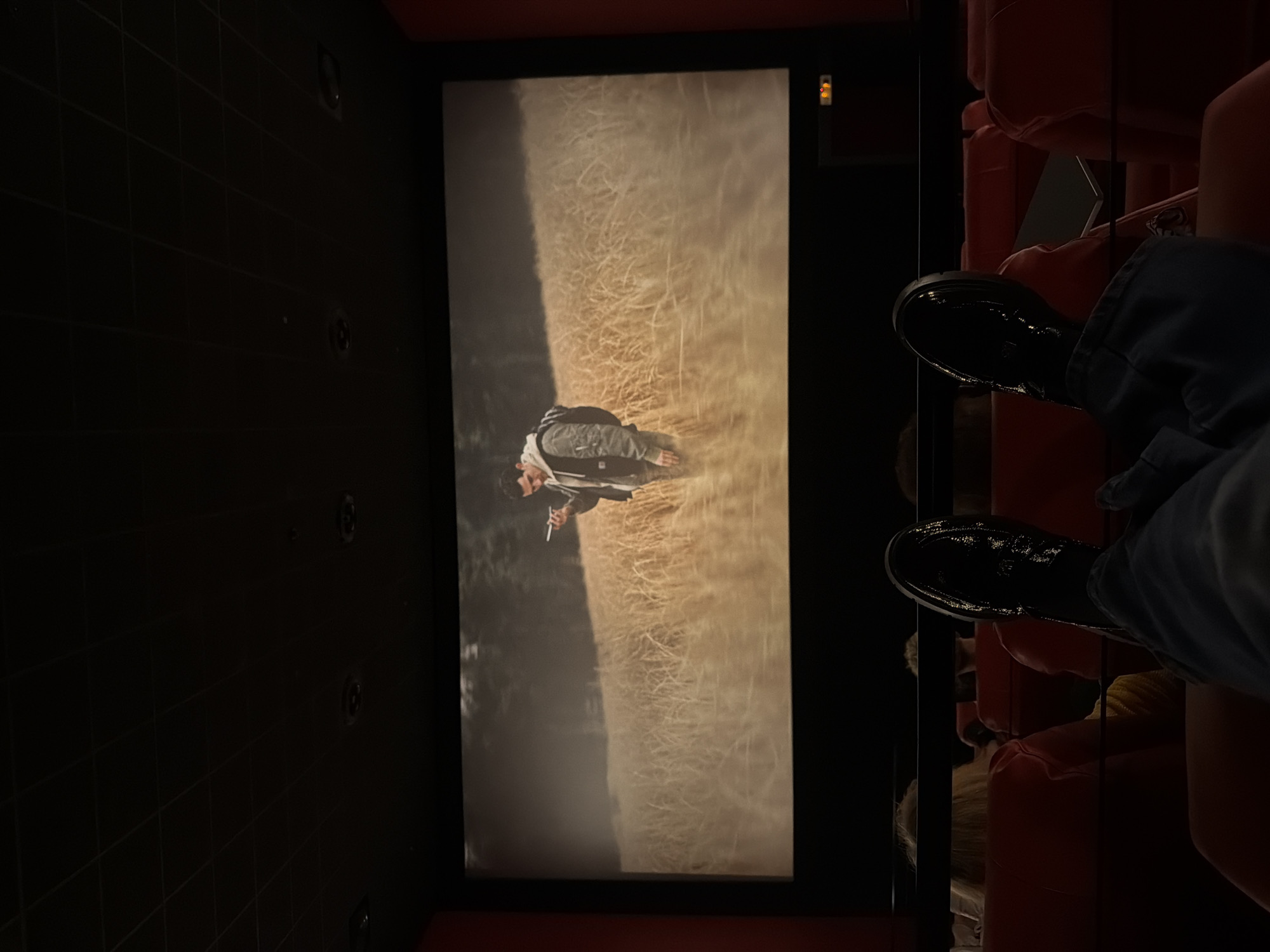 The image shows a person seated in a cinema, watching a movie on the screen. The screen displays a scene of a man walking through a field of wheat. The person in the cinema is wearing blue jeans and black shoes. Other cinema seats and moviegoers are visible in the periphery. The location is likely a cinema in Pleven, Bulgaria, though this cannot be confirmed solely from the image.