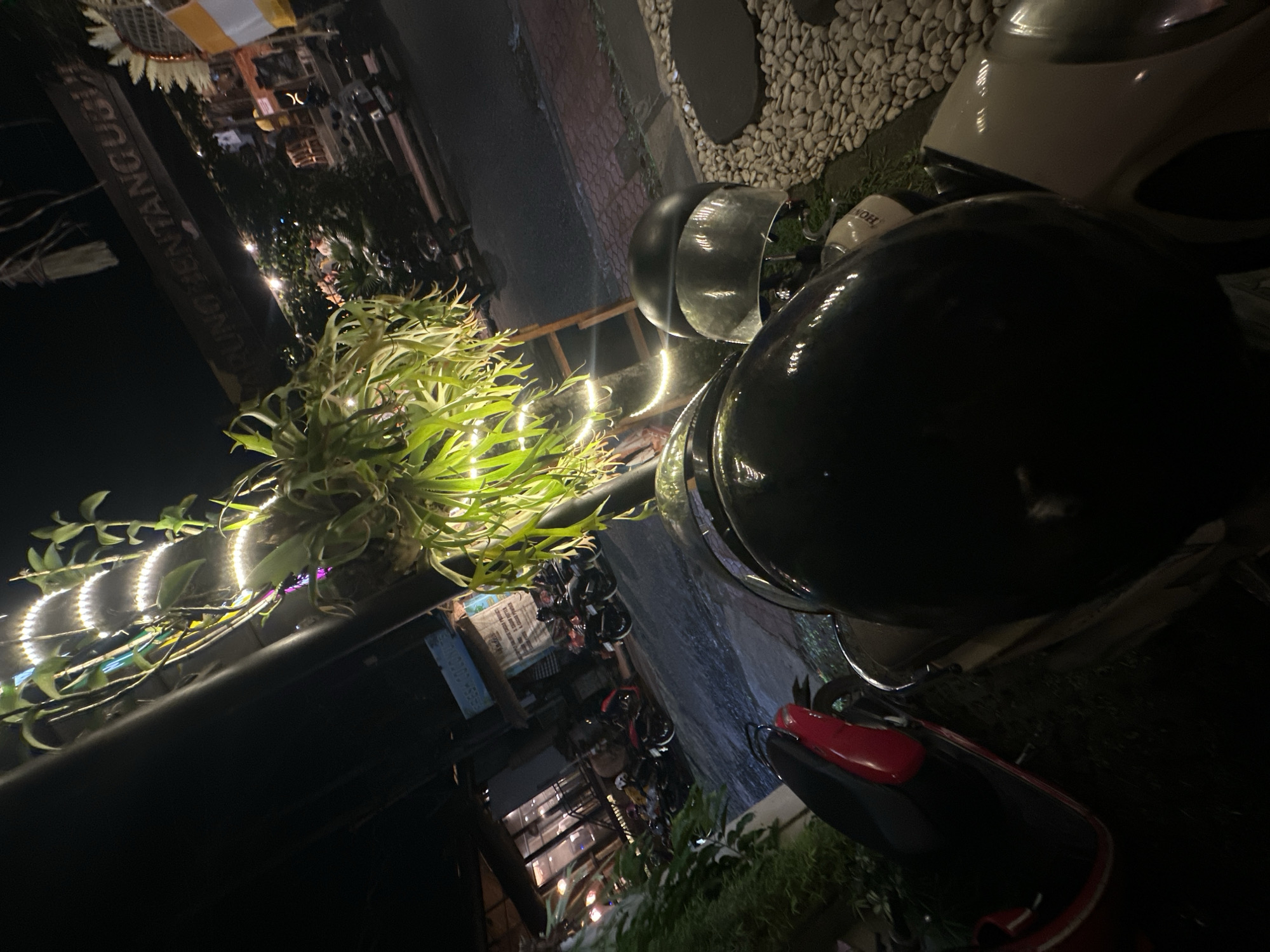This is a nighttime image taken in the Ubud District of Indonesia, showing a street scene with several motorcycles parked. The lighting is primarily from string lights illuminating lush green plants and a sign. The overall mood is calm and possibly festive, given the decorative lighting.
The primary objects are several motorcycles, with a prominent black one in the foreground. The motorcycles have helmets resting on them or nearby. A large plant with bright green leaves is a significant visual element, adorned with a string of small, warm-toned LED lights that create a halo effect around its branches.
In the background, a sign with text is partially visible. The text appears to be in a dark color against a lighter background and is oriented vertically. The visible part of the text suggests a place name or identifier, possibly "LING GENTANGURA".
The scene is set on a paved surface, likely a street or walkway, with some gravel and stone elements visible on the right side of the image. The surrounding environment appears to be an outdoor area, possibly a restaurant, cafe, or market, given the decorative elements and parked vehicles. The time of day is clearly night, indicated by the darkness and artificial lighting. There are no people clearly visible in the image, but their presence is implied by the parked motorcycles. The weather appears to be clear, with no indication of rain or wind. The vibrant green of the plants suggests a tropical climate.
