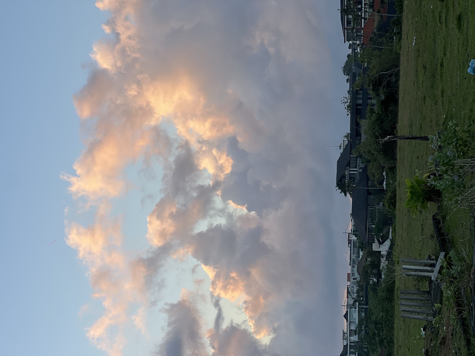 The image depicts a horizontal view of an outdoor scene in an unknown location in Indonesia. A field of green grass occupies the right side of the image. Structures of an unknown nature, appearing to be buildings, are partially visible, in rows and columns, behind a row of trees. A sky with pastel clouds, appearing to be illuminated by an unseen light source, is on the left side of the image. Additionally, a flock of birds and an unidentified flying object appear in the image.