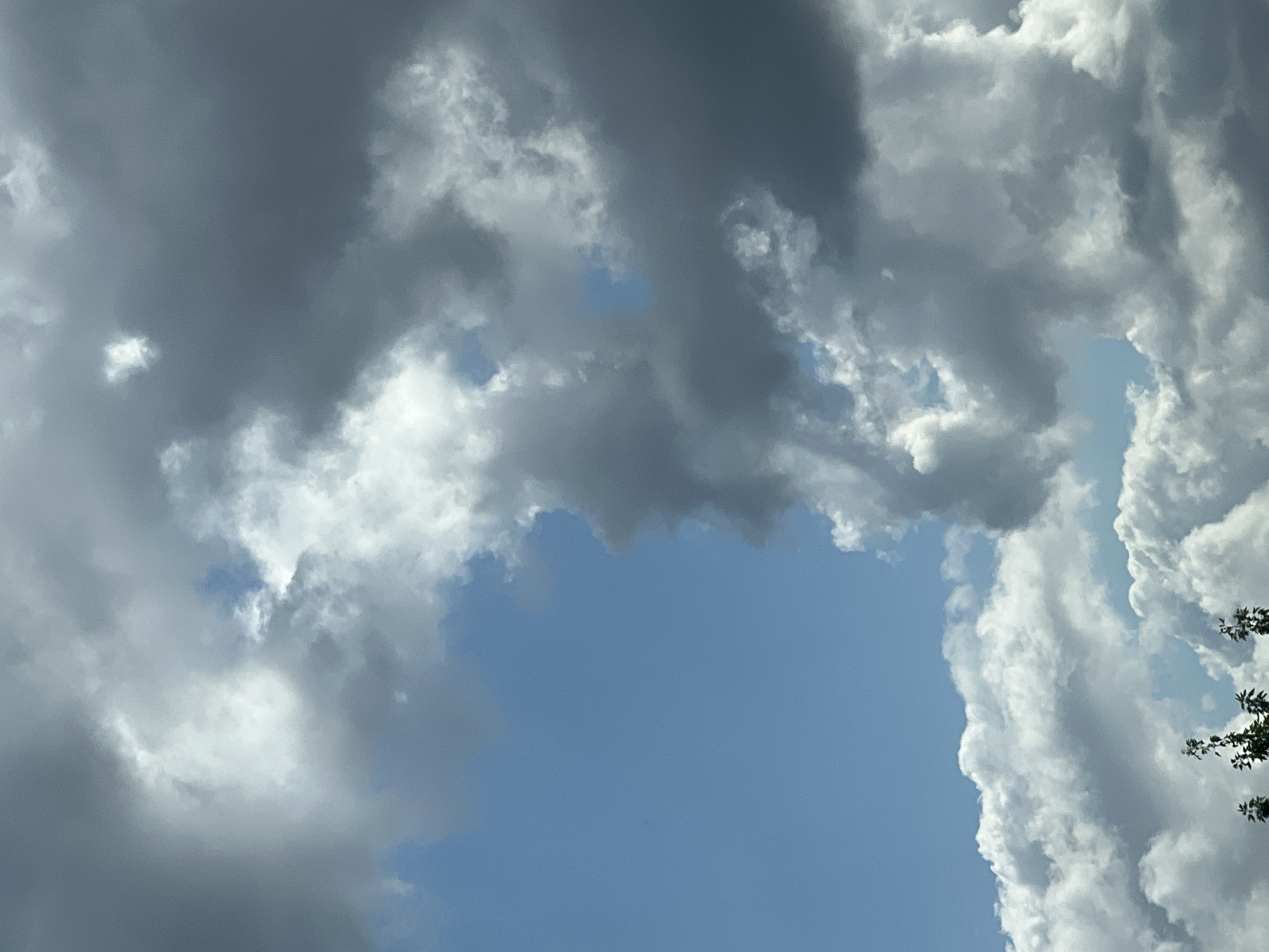 The image shows a portion of the sky filled with a mix of dark grey and white clouds against a bright blue sky. The clouds are dense and appear to be moving, with some areas lit by sunlight and others in shadow. In the lower portion of the image, a few silhouetted tree branches are visible against the sky. There are no people or specific structures visible that would indicate a location within the city of Warsaw, Poland.