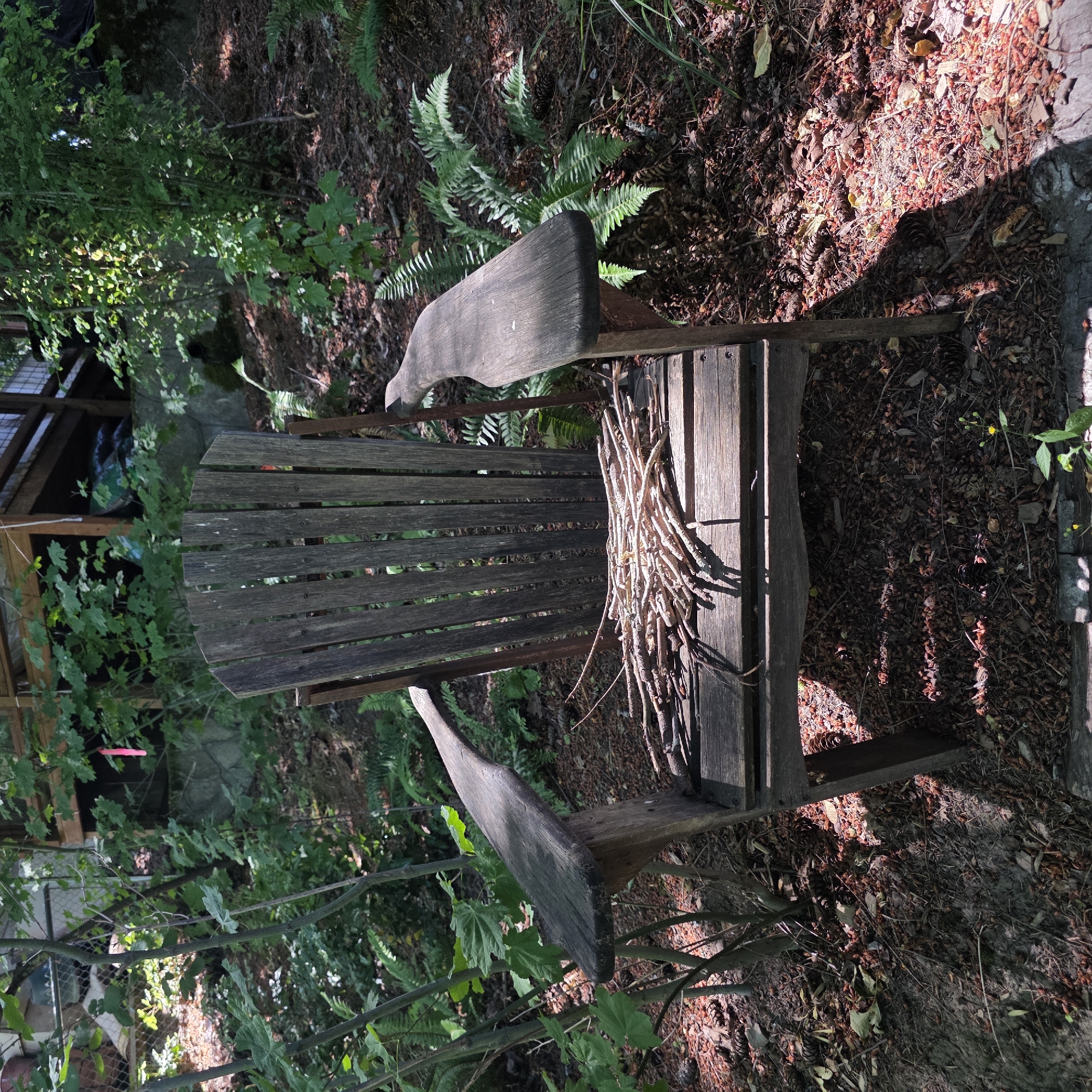 An aged, weathered wooden Adirondack chair sits on a wooded slope in a yard in Portland, Oregon. The chair is unoccupied and rests on a ground covered with pine needles, leaves, and small twigs. A pile of larger sticks is arranged on the seat of the chair. Lush green ferns and various trees and bushes surround the chair, indicating a natural, outdoor setting. The dappled sunlight suggests it is daytime. In the background, a wooden deck structure is partially visible, suggesting a residential area adjacent to a natural landscape. There are no people or animals present in the image.