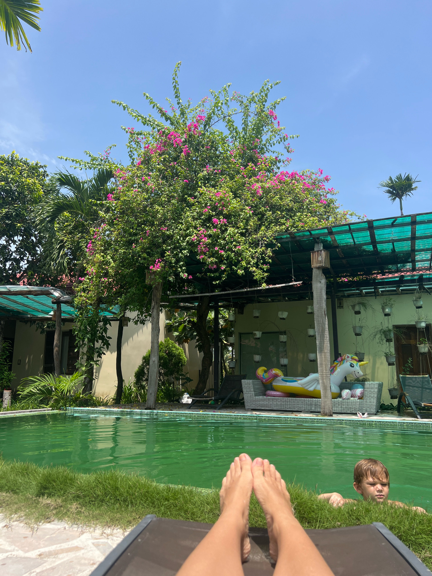 The image depicts a boy swimming in a green pool next to a patch of grass. The perspective suggests the photo is taken from someone lounging on a chair, with their feet visible in the foreground. In the background, a covered patio area is visible, furnished with outdoor seating and decorated with hanging plants. An inflatable unicorn float is placed on the seating. Lush greenery and trees with pink flowers surround the pool area, and a palm tree is visible on the roof of the building. The scene appears to be set in a tropical or subtropical environment, likely in a resort or private residence in Hoi An, Vietnam, given the architectural style and vegetation. The sky is clear and blue, indicating a sunny day.