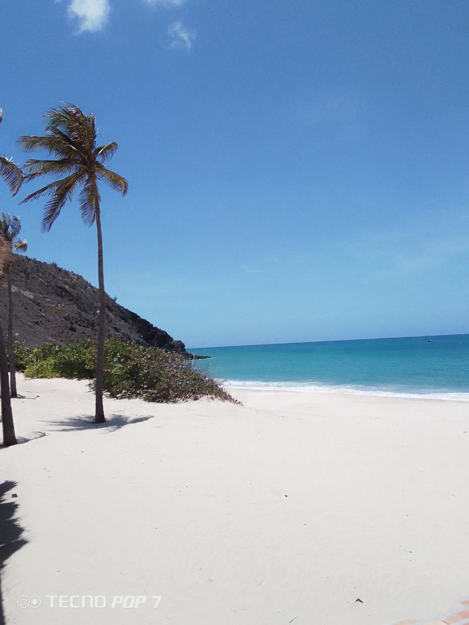 The image shows a beach in Pedro González, Venezuela. The beach has white sand and clear turquoise water. Palm trees are situated on the left side of the image, growing near the base of a dark, rocky hill. The sky is bright blue with a few small clouds. The beach appears empty, with no people visible. The horizon is visible in the distance.