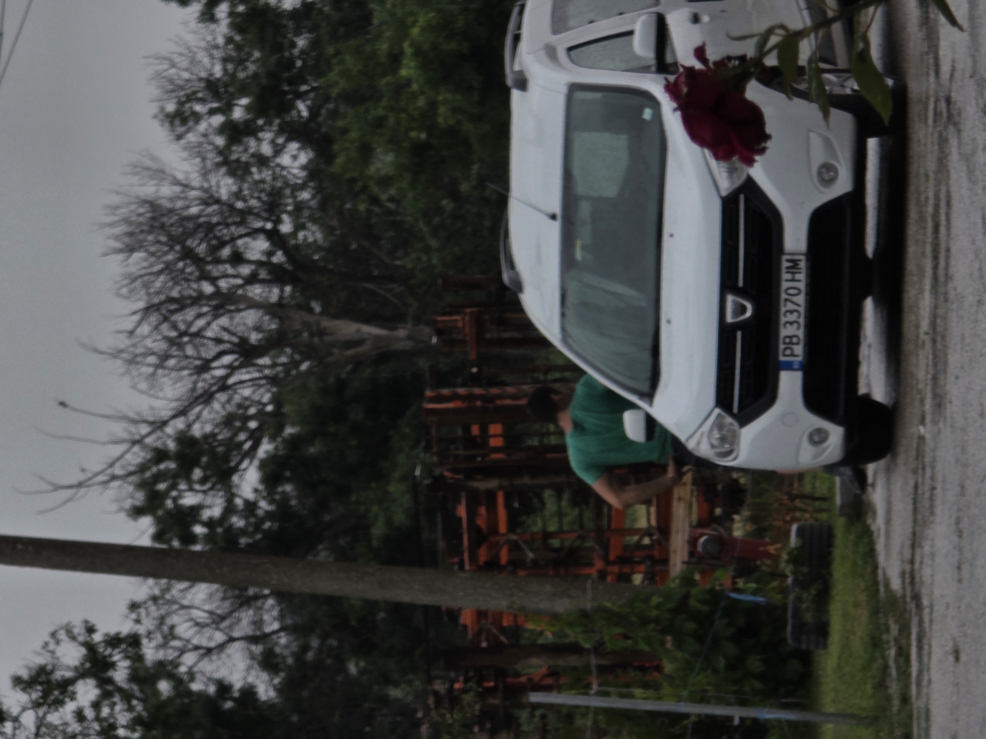 The image shows an outdoor scene, likely in a rural or semi-rural area under an overcast, grey sky. The ground on the right appears wet, suggesting recent rain.
A white Dacia van, possibly a Dokker model, is prominently parked facing left. The car's front grille features the "DACIA" logo, and its Bulgarian license plate, "PB 3370 HM," is clearly visible. In the immediate foreground, a vibrant red flower with green leaves partially obscures the top right section of the car's front.
Behind the parked car, a person wearing a green t-shirt is partially visible, appearing to be engaged with or inspecting some orange and red agricultural or industrial machinery. To the left, a wooden utility pole or fence post extends horizontally across the mid-ground. The background features a mix of vegetation, including bare, branchy deciduous trees and denser evergreen foliage, indicating a natural setting.
The scene depicts a calm daytime moment, with a vehicle parked and a person attending to equipment on a damp, cloudy day in Bulgaria.