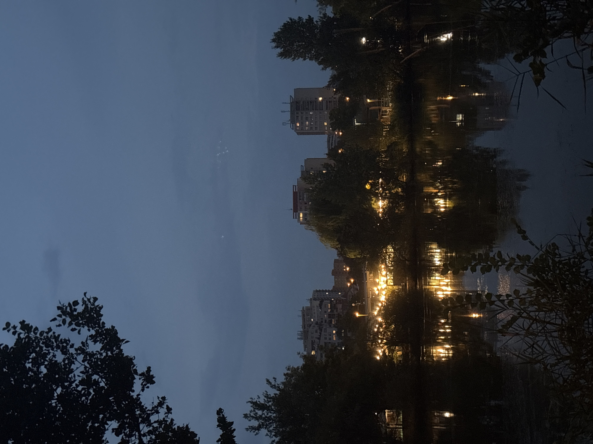 The image depicts a twilight scene of a city skyline with a body of water in the foreground. On the right side, a large tree branch with dark leaves extends into the frame from the top left, silhouetted against a deep blue, cloudy sky. In the mid-ground, several tall residential buildings with illuminated windows are visible, suggesting an urban environment. Below the buildings, a strip of vegetation is lit by warm, yellow lights, likely from street lamps or outdoor lighting. These lights cast reflections on the dark surface of the water, which occupies the lower half of the image. The water also reflects the shapes of the buildings and trees. The overall atmosphere is calm and serene, characteristic of evening in a city. While the exact location is not specified in the image, the architectural style of the buildings and the presence of a canal or river are common features in many European cities, including Prague, Czechia. There are no people or animals visible in the scene, and no discernible actions or interactions are taking place. The focus is on the landscape and the interplay of light and shadow.