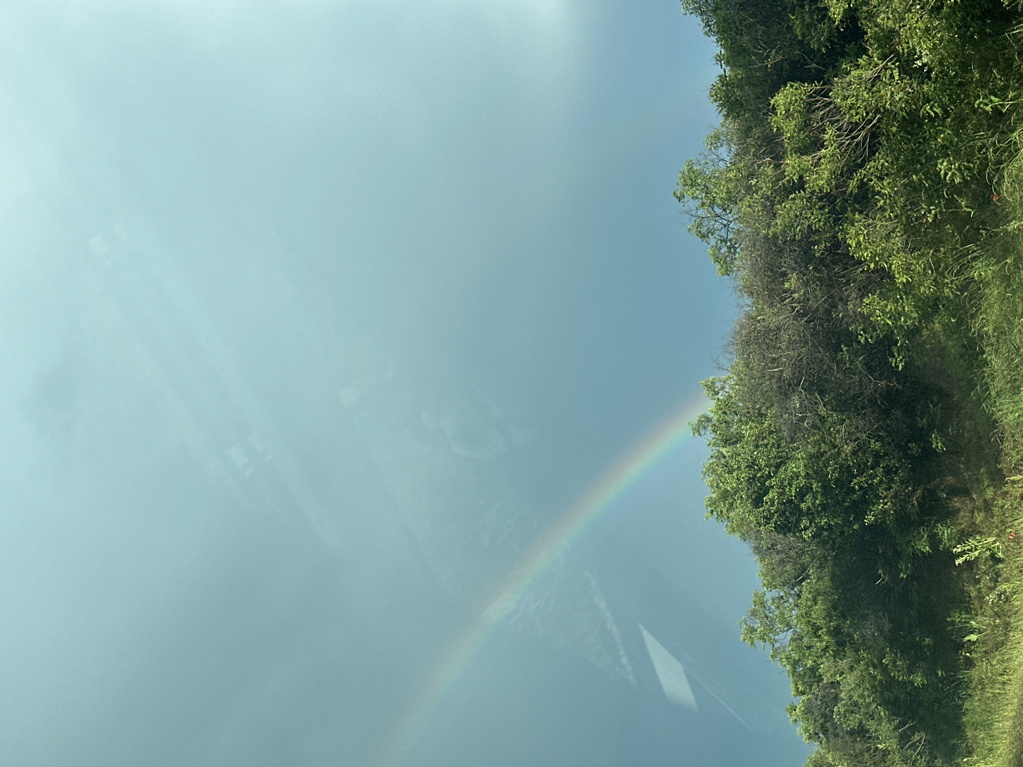 The image shows a landscape featuring a rainbow arching across a light blue sky. The right side of the image contains a dense line of green trees and vegetation. The environment suggests a rural or natural setting. No people are visible in the frame. It is not possible to confirm the location in Nevsha, Bulgaria from this image alone.