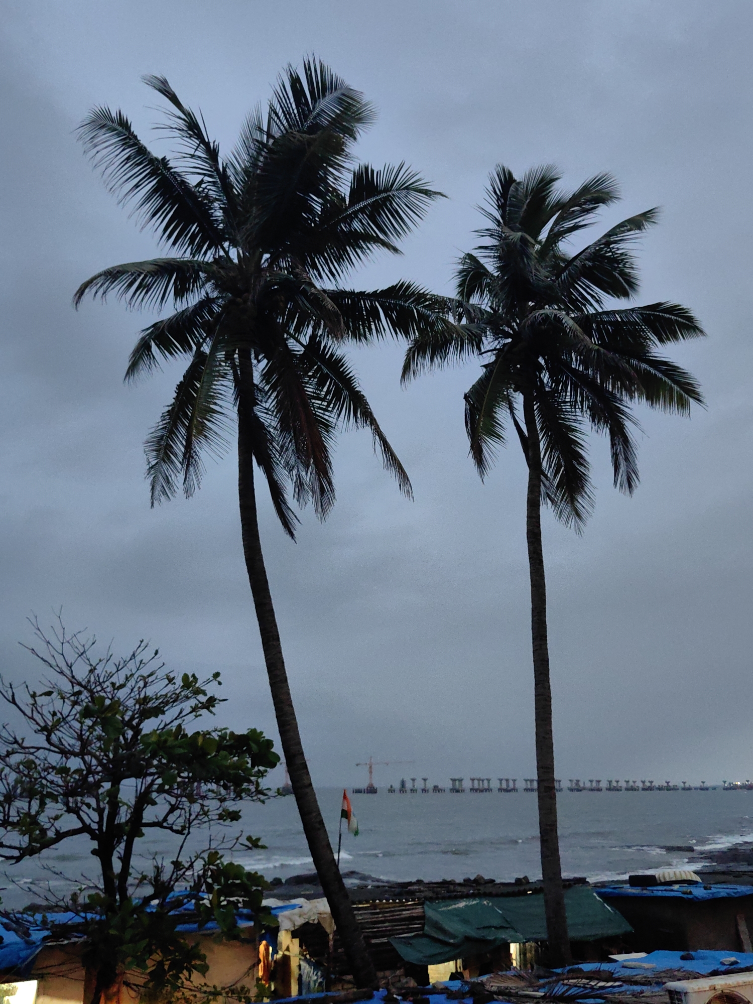 The image depicts a coastal scene in Mumbai, India, likely during overcast weather or dusk. Two tall palm trees dominate the foreground, their fronds swaying against a muted grey sky. To the left, a smaller, bare-branched tree with some green foliage is visible. In the middle ground, the Arabian Sea is visible with gentle waves lapping at a rocky shore. A long, elevated structure, possibly a bridge or a pier under construction, stretches across the horizon. An Indian flag, displaying the saffron, white, and green bands, flutters on a flagpole near the shore. The lower part of the image shows a collection of temporary structures, likely small shops or shelters, covered with blue and green tarpaulins, indicating a waterfront settlement or market area. The overall atmosphere is somber and slightly moody due to the overcast conditions.