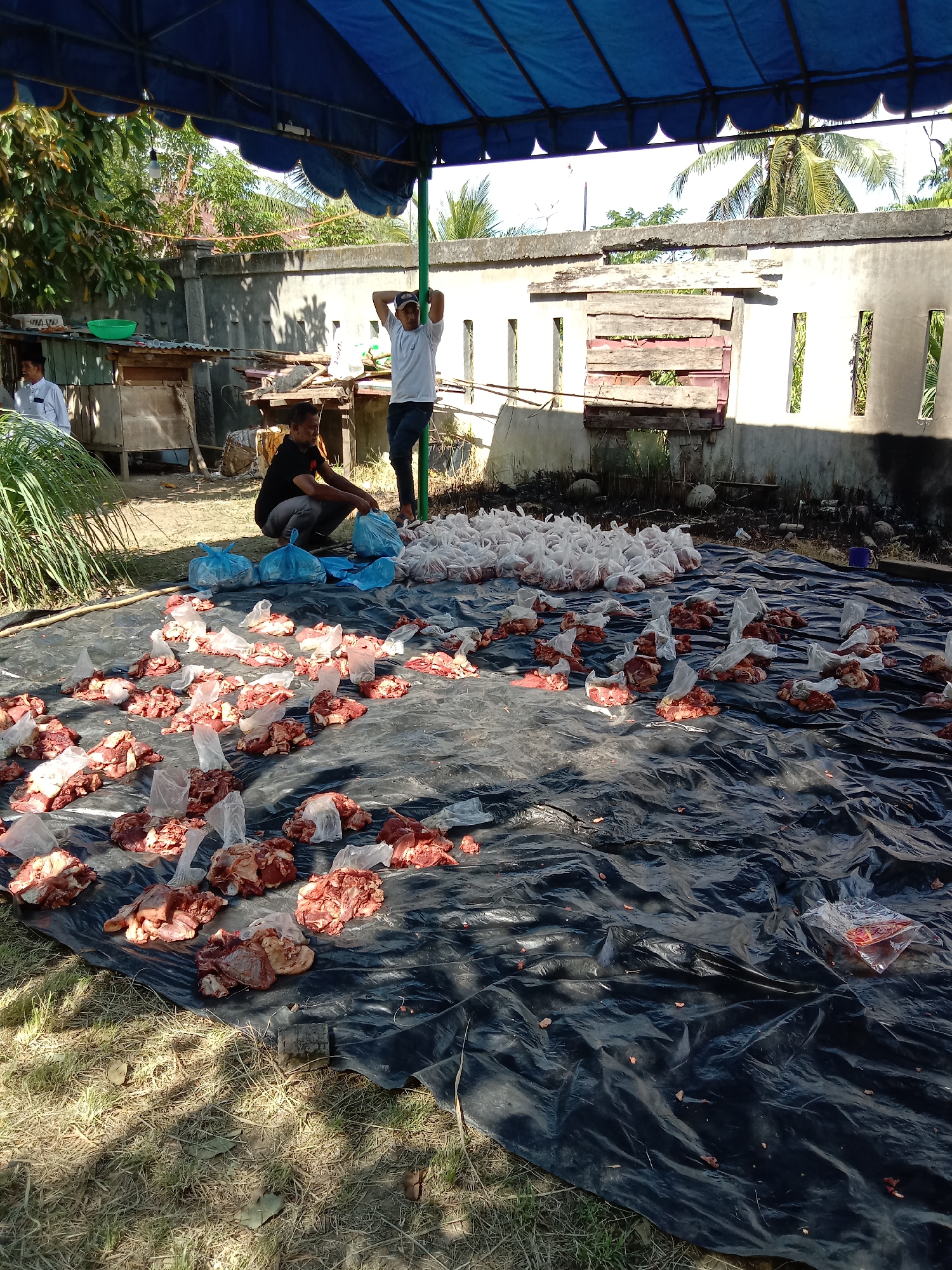 Outside in Lhokseumawe, Indonesia, under a blue canopy, a large black plastic sheet covers the ground. On the sheet, pieces of raw meat, many in clear plastic bags, are scattered. Two men are near the meat, one kneeling and handling blue plastic bags, and another standing with his hands behind his head. A third man stands to the left, near some containers and tall grass. Behind them is a concrete wall with some broken wooden structures. The environment appears to be a yard or open space next to buildings.