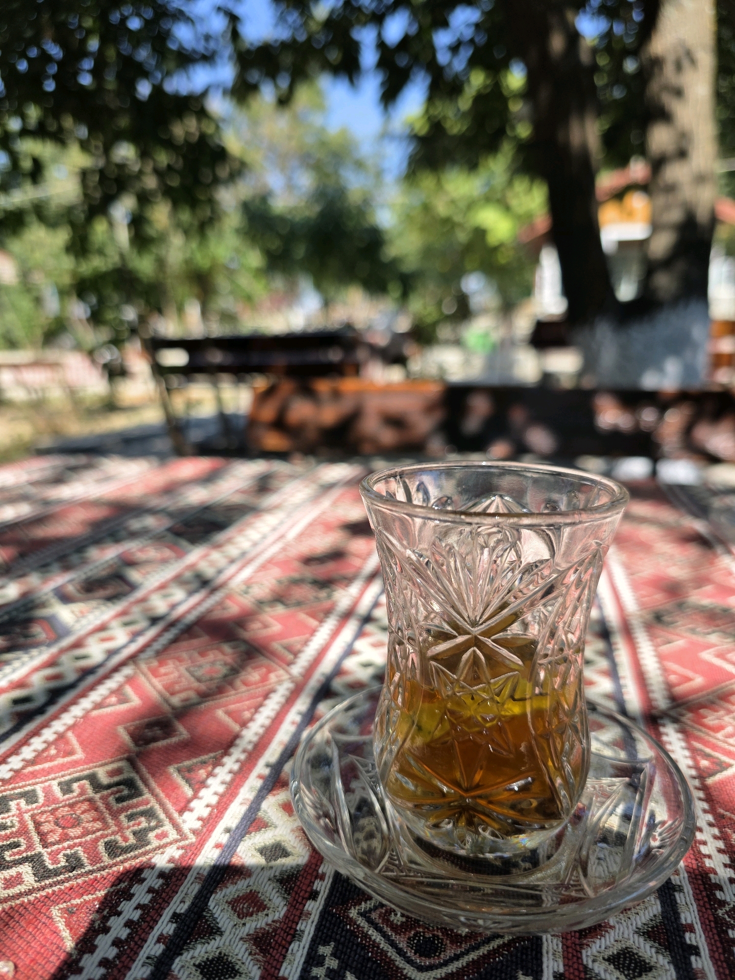 A close-up, eye-level shot focuses on a crystal glass filled with amber-colored liquid, likely tea, placed on a saucer. The glass and saucer rest on a richly patterned rug with red, black, and white geometric designs. The rug covers a surface, and in the background, dappled sunlight filters through the leaves of trees, creating a soft, blurred effect. A large tree trunk is visible on the right. The scene suggests an outdoor setting, possibly a garden or courtyard, given the presence of trees and greenery. The background details are out of focus, but hints of wooden furniture and structures suggest an area designed for relaxation or outdoor dining. The overall impression is one of a tranquil, natural environment. This scene is located in the city of Qobustan, Azerbaijan.
