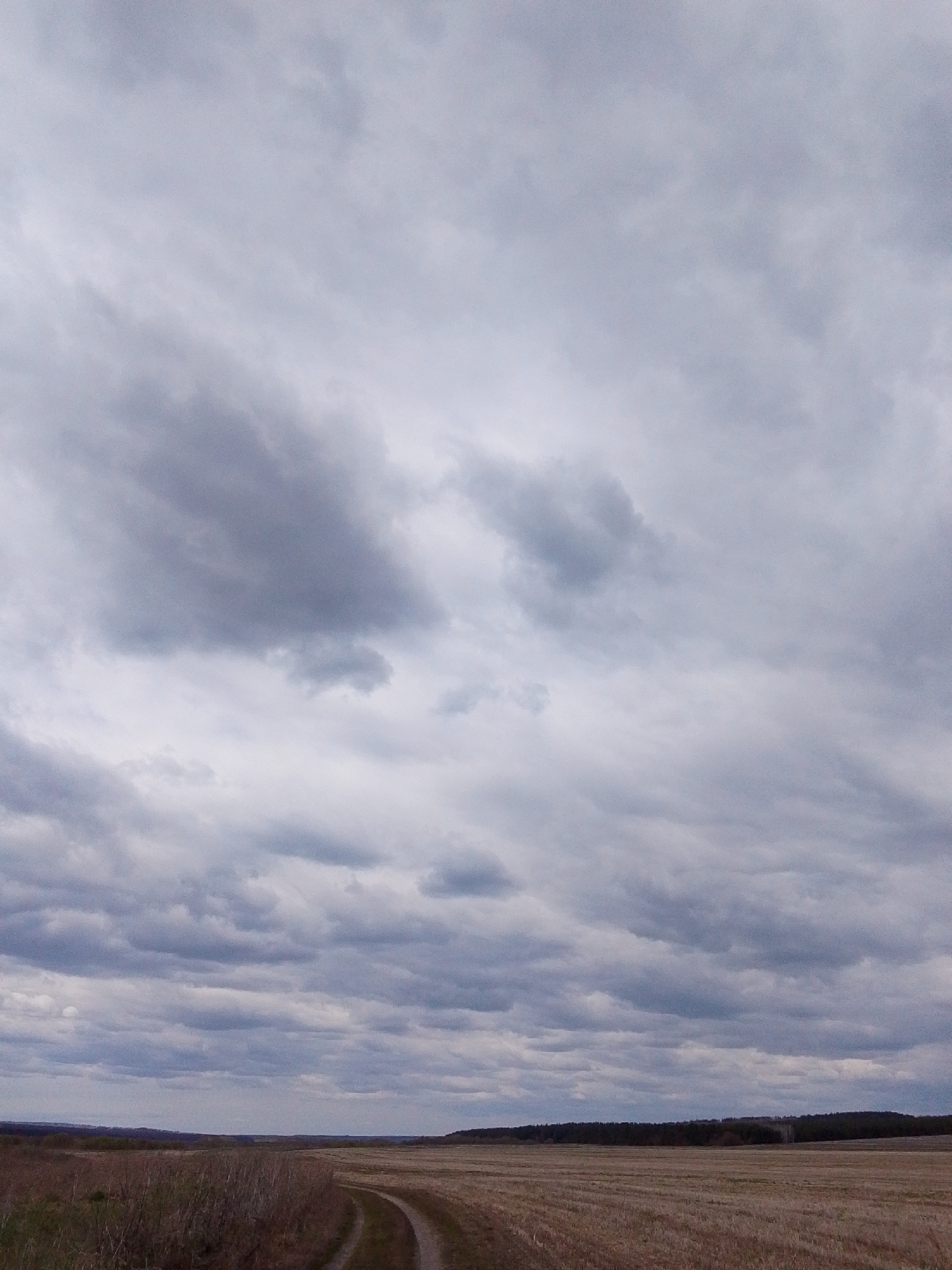 The image depicts a landscape scene in Treshchevka, Russia, under an overcast sky filled with grey clouds. A dirt road curves through a harvested field, and a line of trees is visible on the horizon. There are no people visible in the image.