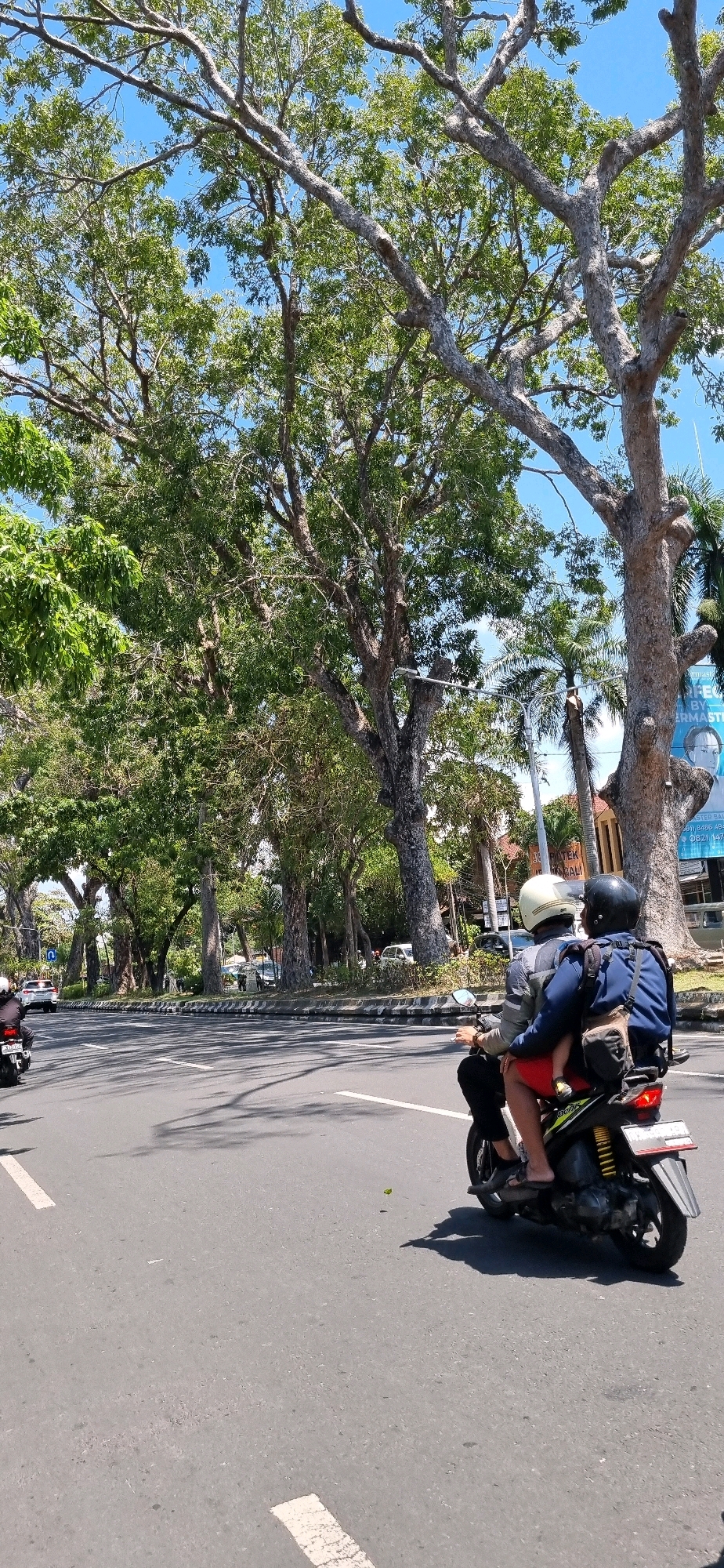 The image depicts a sunny day in Denpasar, Indonesia, with a focus on a street scene featuring lush, mature trees lining the road. In the foreground, two people are riding a scooter. The driver, wearing a white helmet and a jacket with grey and dark blue accents, is steering the scooter. The passenger, seated behind the driver, is wearing a dark blue jacket and a black helmet, and is holding onto the driver. The passenger's legs are visible, and they are wearing red shorts and dark footwear. A backpack is slung over the passenger's shoulder.
The scooter itself is a dark color with yellow accents and has a license plate. The road is asphalt, with white lane markings. Beyond the road, a sidewalk is visible, bordered by a curb. The sides of the street are heavily lined with large, mature trees with thick trunks and dense green foliage, creating a shaded canopy over parts of the road. In the background, there are glimpses of buildings and other vehicles, including a white car on the road ahead and another motorcycle to the left of the frame. The sky is bright blue with a few scattered clouds, indicating clear weather. A large banner with text and an image of a woman's face is visible on the right side of the frame, suggesting commercial activity in the area. The overall impression is of a vibrant, tropical urban environment.