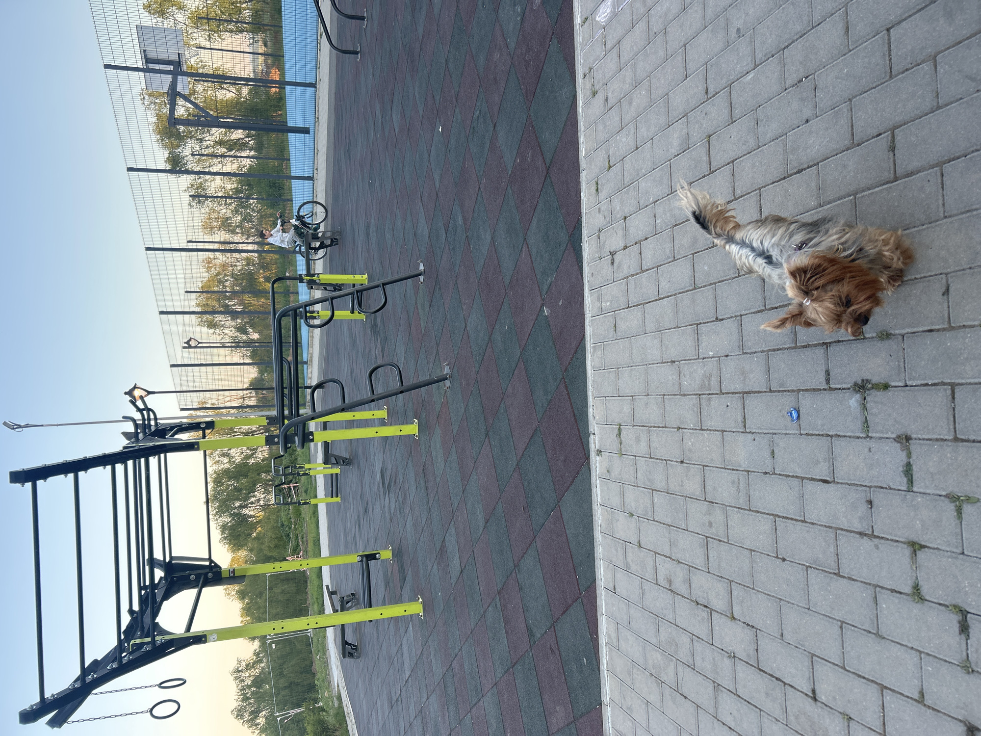 This is an outdoor scene at a park or recreational area in Burgas, Bulgaria. The ground is composed of alternating gray brick pavers and maroon and gray diamond-patterned rubber flooring. A dog stands on the gray brick pavers. Gymnastic exercise equipment stands on the rubber flooring. A fenced area with a basketball hoop is visible. A child on a bicycle is near the basketball hoop. Trees are in the background.
