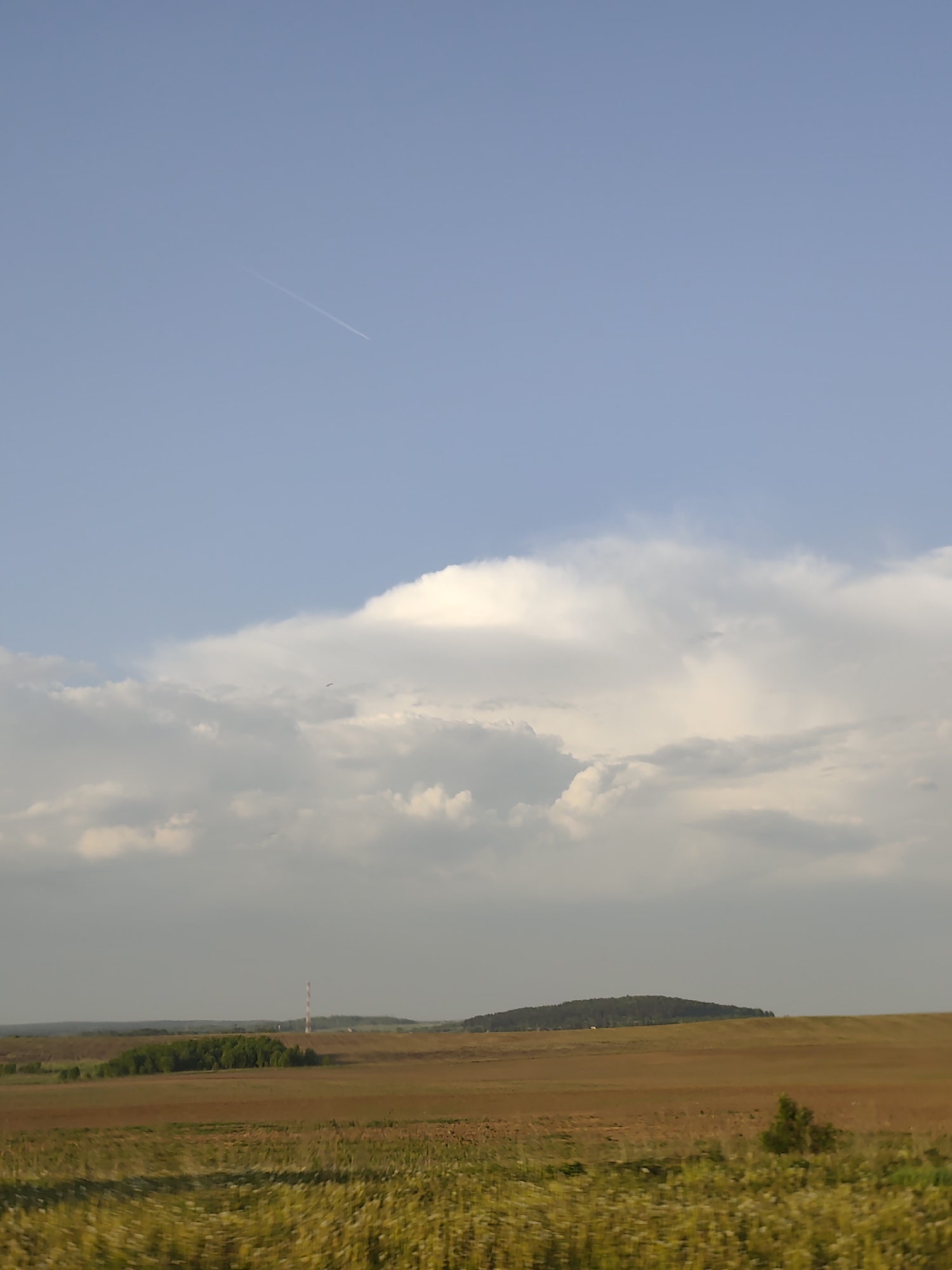 The image depicts a rural landscape in the vicinity of Koyanovo, Russia. The foreground is dominated by tall, yellowing grass and wildflowers. Beyond this, a vast, flat, brown field extends to the middle ground, punctuated by a small cluster of trees and a distant radio tower. Further away, a densely forested hill breaks the horizon. The sky occupies the majority of the frame, transitioning from a clear, light blue at the top to a band of large, white, cumulus clouds in the mid-section. A contrail from a passing aircraft is visible in the upper left portion of the sky.