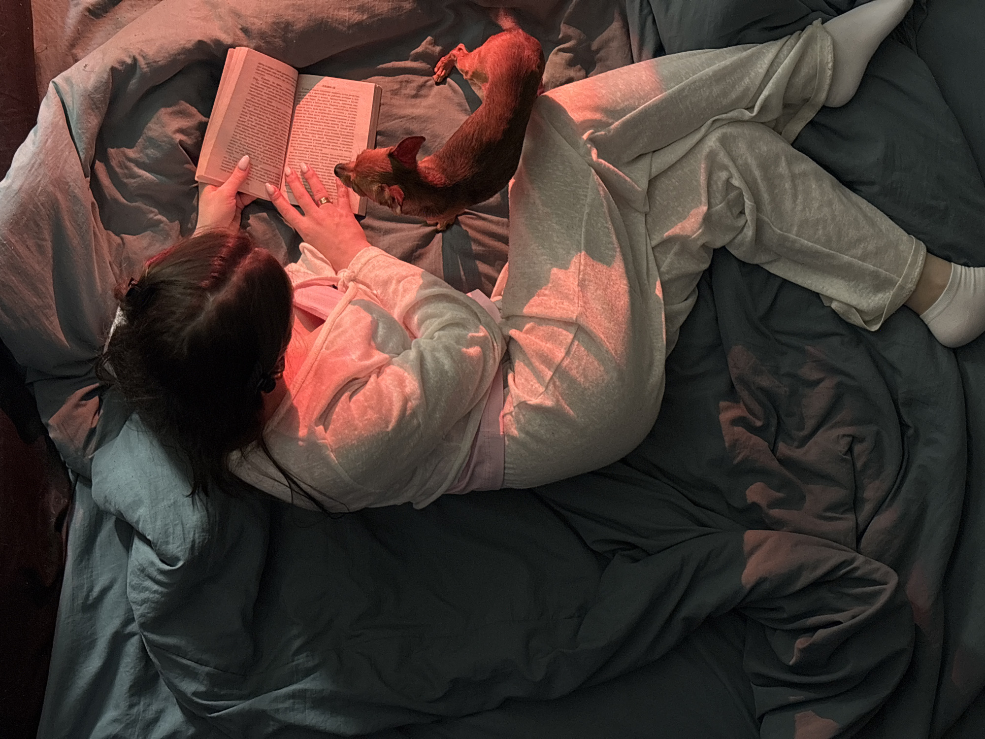 A woman is lying in a bed with dark blue-grey bedding, reading a book. She is wearing light-colored, possibly white or light grey, sweatpants, a light-colored robe over a pink shirt, and white socks. A small, brown dog is standing on the bed next to her. The scene is lit with a warm, reddish light. Based on the available information, I cannot identify the location as Chaikovsky, Russia, nor can I confirm that it is located within a city.