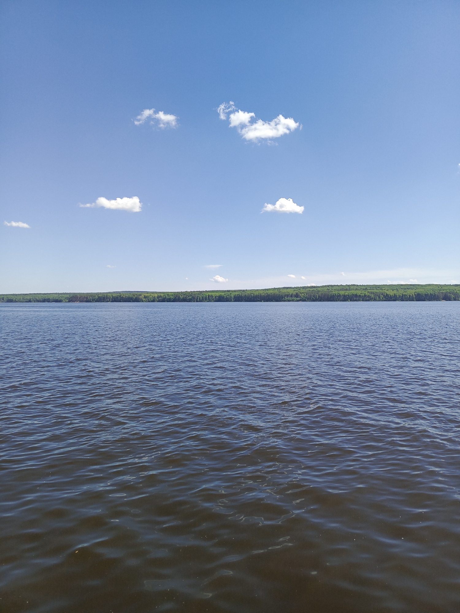 The image depicts a body of water, likely a lake or river, under a clear blue sky with a few scattered cumulus clouds. A dense line of green trees borders the distant shoreline, suggesting a wooded area. The water surface is moderately rippled, indicating a slight breeze. The lighting is bright and appears to be midday.
Without additional information, it is impossible to confirm the location within the city of Chaikovsky, Russia.