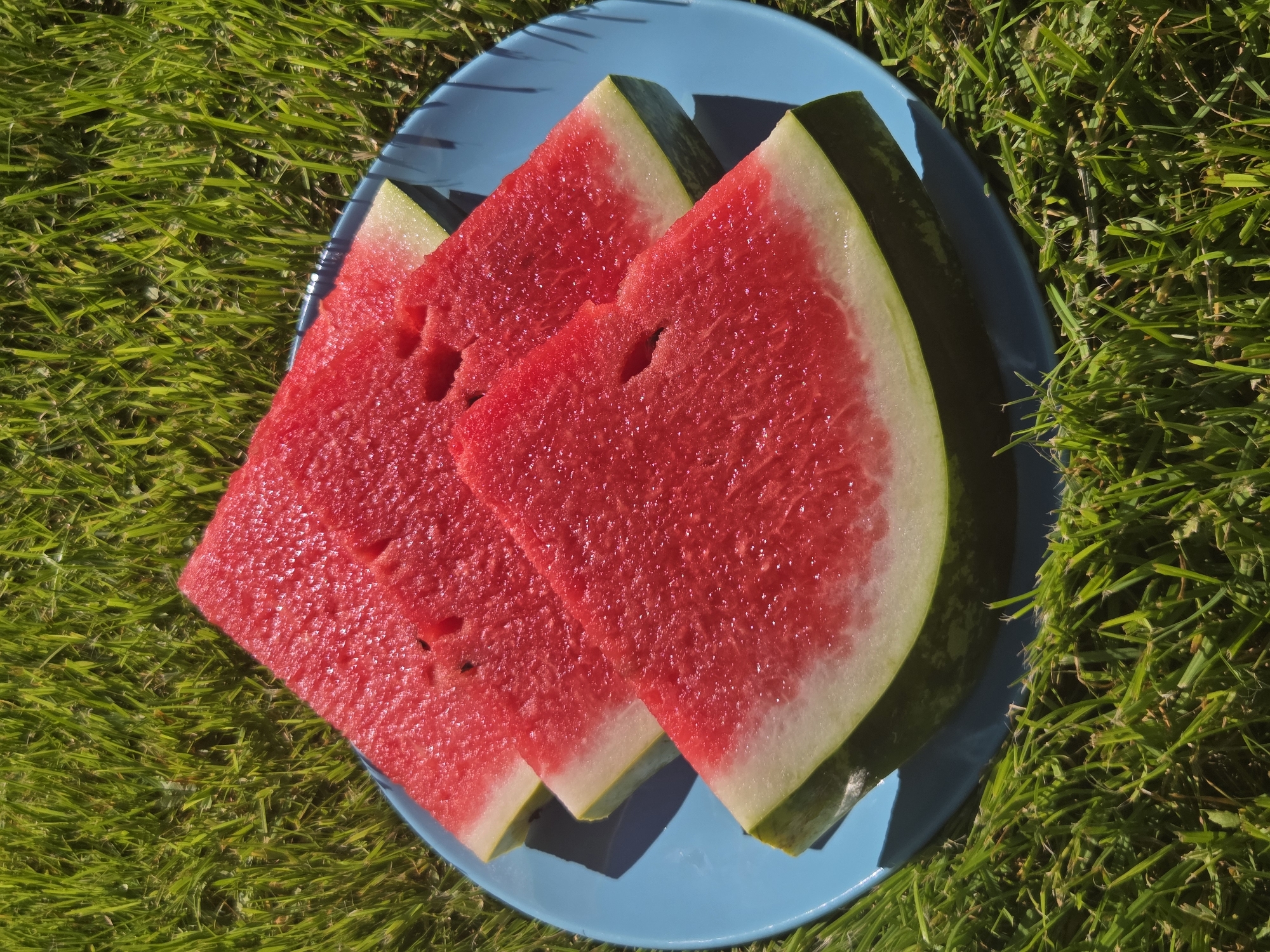 A blue plate with three slices of watermelon is placed on a patch of green grass. The watermelon slices are triangular and show the bright red flesh and white rind. The grass appears to be well-maintained and is illuminated by bright sunlight, casting shadows on the plate. The setting suggests an outdoor picnic or a casual meal. This scene is not indicative of the city of Frolovo, Russia, as there are no identifiable landmarks or context to associate it with that location.
