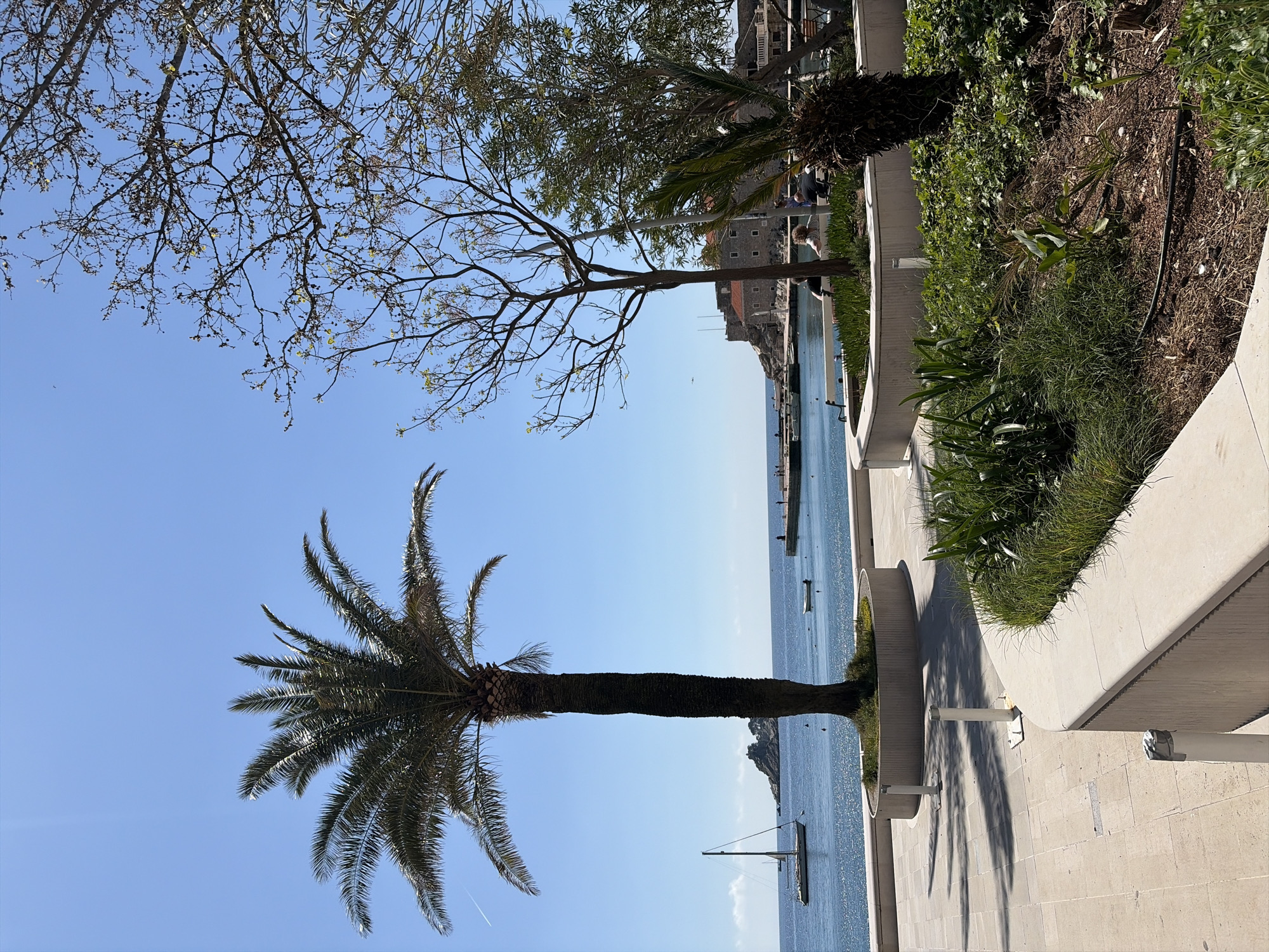 A bright, sunlit landscape shows a waterfront view in an unknown city. The image is rotated to the left by 90 degrees. A tall palm tree stands prominently to the left, its fronds reaching into a clear blue sky. To the right, a raised walkway is bordered by a stone retaining wall filled with dense greenery. Beyond the walkway is a serene expanse of blue water, dotted with boats and small landmasses. In the distance, a building with a red roof sits perched on a cliff. Two figures appear to be sitting along the side of the walkway.