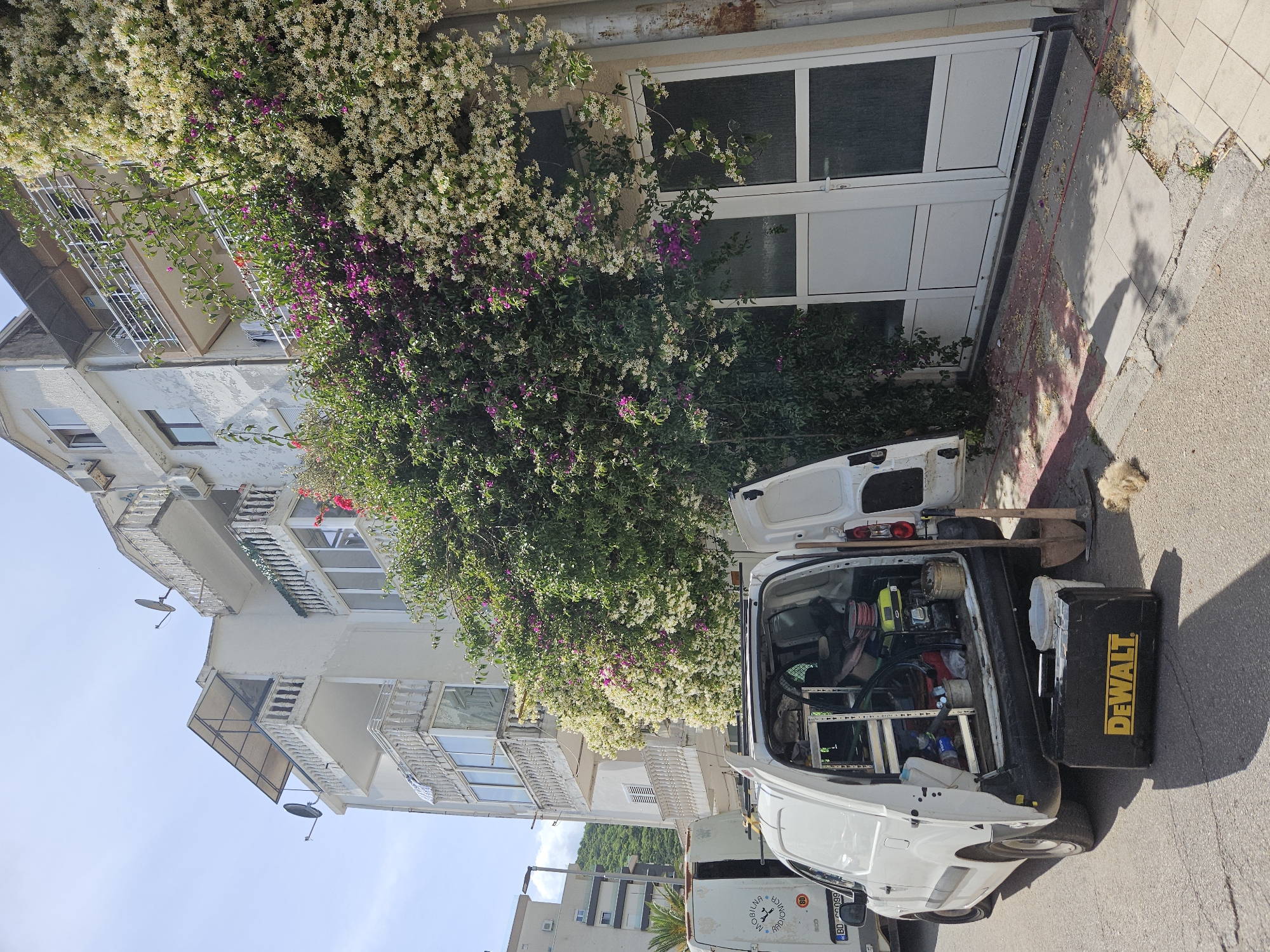 The image shows a residential street scene in an unknown city. A white van is parked on the side of the road, with its rear door open, revealing tools and equipment inside. A black and yellow DeWalt tool box is positioned near the open door. The side of a multi-story building is visible in the background, adorned with flowering vines, including bougainvillea with purple blossoms and a vine with white flowers. A white door is present at the base of the building. The sidewalk is visible, and the weather appears sunny and clear. Another vehicle can be seen parked behind the van.