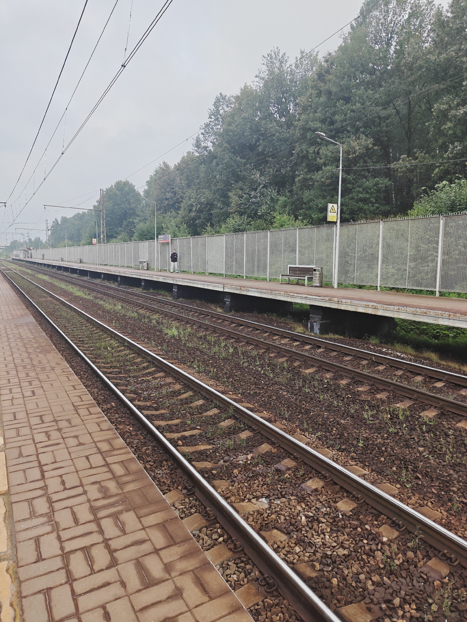The image depicts a train station platform in Zheleznodorozhnyi, Russia. Two sets of train tracks run parallel to a brick-paved platform on the left. The platform is elevated and bordered by a metal fence. Beyond the fence, a row of trees forms a dense green backdrop. A street lamp and a yellow warning sign with a lightning bolt symbol are visible on the platform. A single individual, dressed in dark clothing, stands on the platform, facing away from the camera, near a bench and a trash receptacle. The sky is overcast.