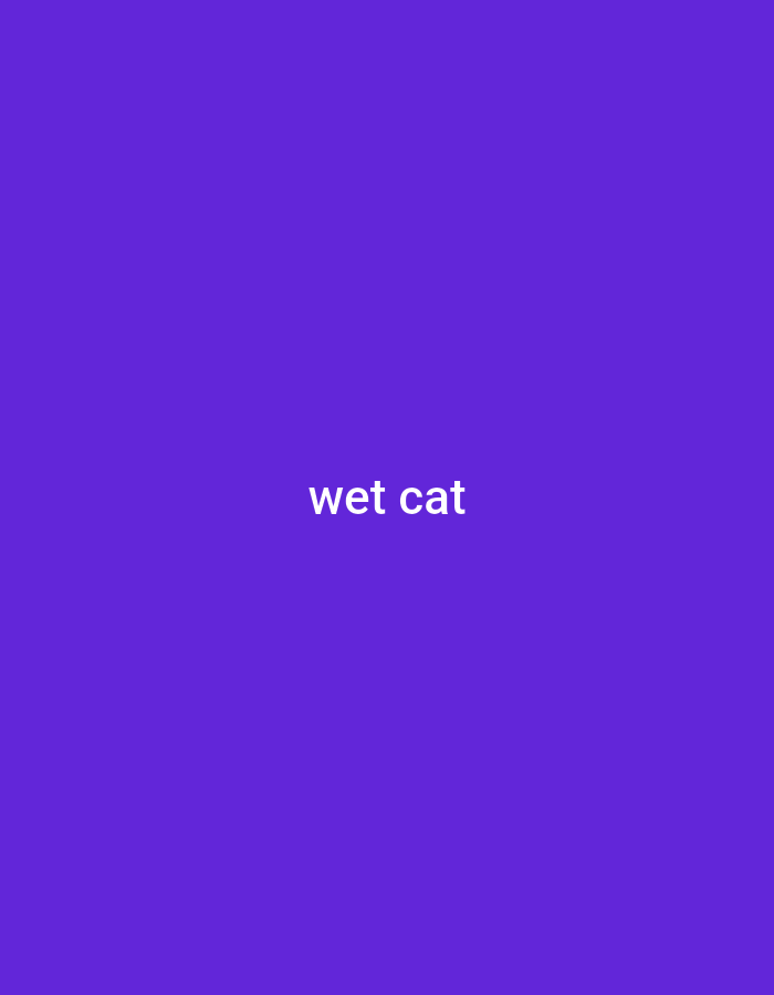 The image is a solid purple background with the white text "wet cat" in the center. There is no indication of location, people, subjects, objects, actions, interactions, or environment other than the text.