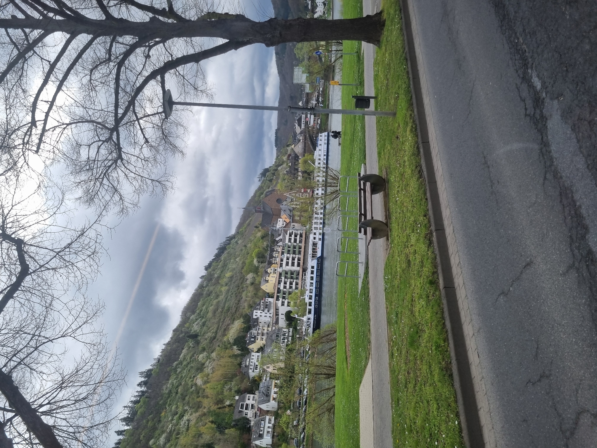 The image depicts a scene in Cochem, Germany, showcasing a view of the town nestled along the Moselle River. The perspective is from a slightly elevated position, likely a roadside walkway or path. In the foreground, a paved walkway borders a strip of green grass leading to the river's edge. A park bench and a trash receptacle are positioned alongside the path. Further down, a river cruise ship is docked along the shore.
Across the river, the town of Cochem is visible, built against a hillside. The architecture appears to be a mix of traditional German houses with gabled roofs and more modern apartment buildings. A prominent church steeple rises among the buildings. The hillside is covered with trees, some showing signs of spring blossoms.
In the background, more hills can be seen through the sky. The sky is overcast with a mix of gray and white clouds. The foreground includes bare tree branches partially obscuring the sky. A street lamp is between the path and river.