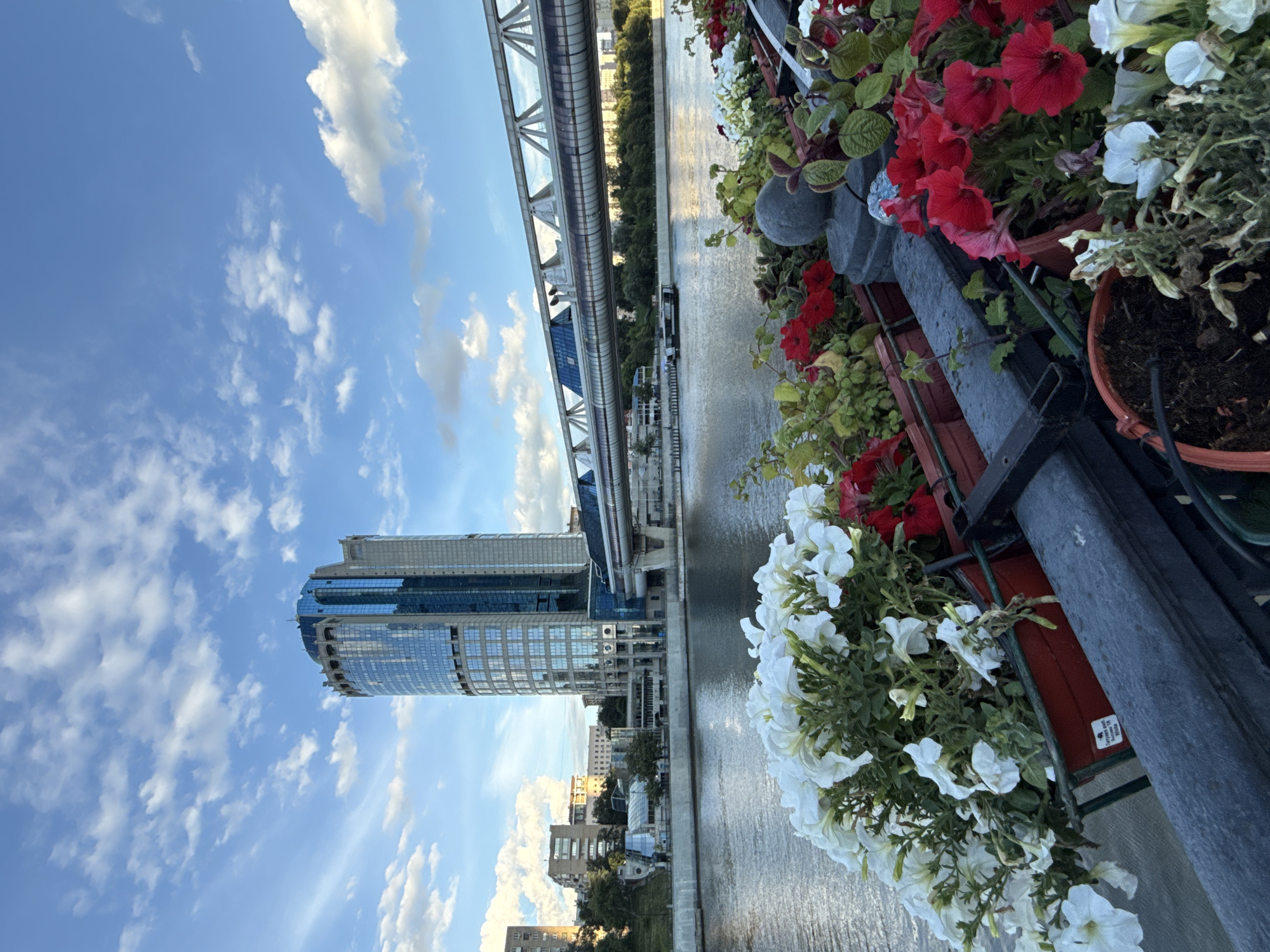 This image captures a view of a city with a river and a modern skyscraper. The scene is dominated by a body of water, likely a river, with a walkway or bridge running alongside it. The skyscraper is a prominent feature, with a reflective glass facade that mirrors the blue sky and scattered white clouds.
In the foreground, there are potted plants with a mix of red and white petunias in bloom, adding a splash of color to the urban landscape. Some of these plants appear to be wilting slightly, suggesting they may be past their peak bloom or experiencing dry conditions. A gray metal railing runs along the edge of the planter area.
On the left side of the frame, a contemporary bridge structure with a metal framework and glass enclosure is visible. Beyond the river, the opposite bank is lined with trees, and further in the distance, smaller buildings can be seen. A boat is also present on the river, suggesting ongoing activity.
The sky is blue with fluffy white clouds, indicating a clear day. The lighting suggests it is either morning or late afternoon, given the warm tones of the sunlight on some of the buildings in the distance. The overall mood is one of urban vitality combined with the presence of nature through the flowers and the river. There are no people visible in the frame. No text is legible in the image.