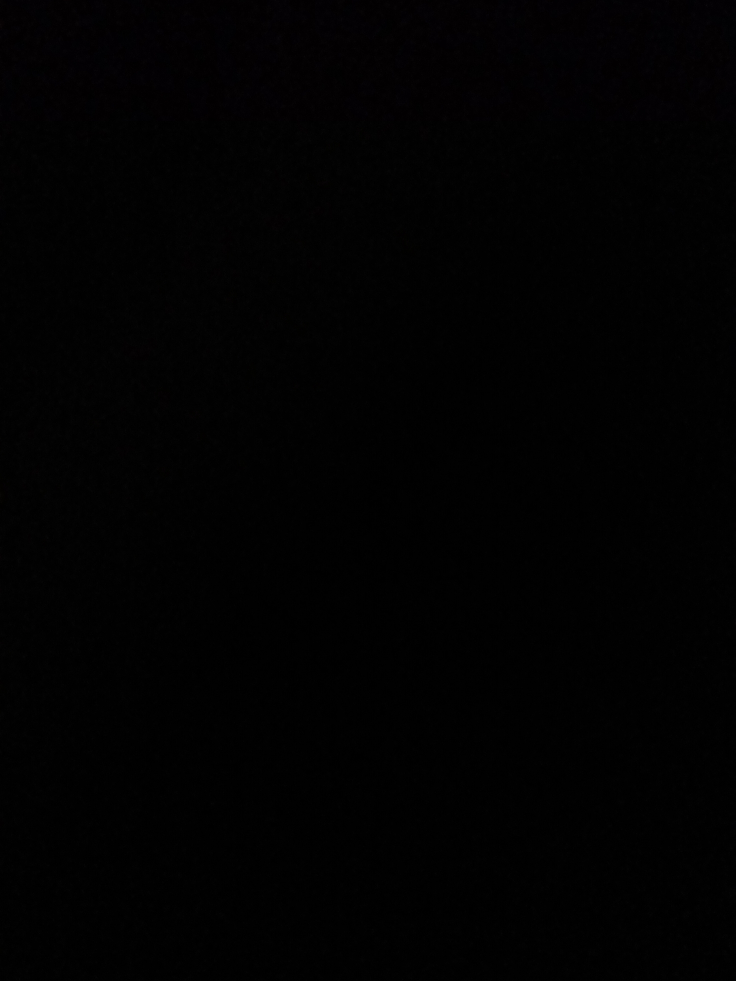 The image is a completely black rectangle. There are no visible subjects, objects, scenes, activities, or notable details. It is impossible to determine the time of day, weather, location cues, or emotions. There is no visible text.