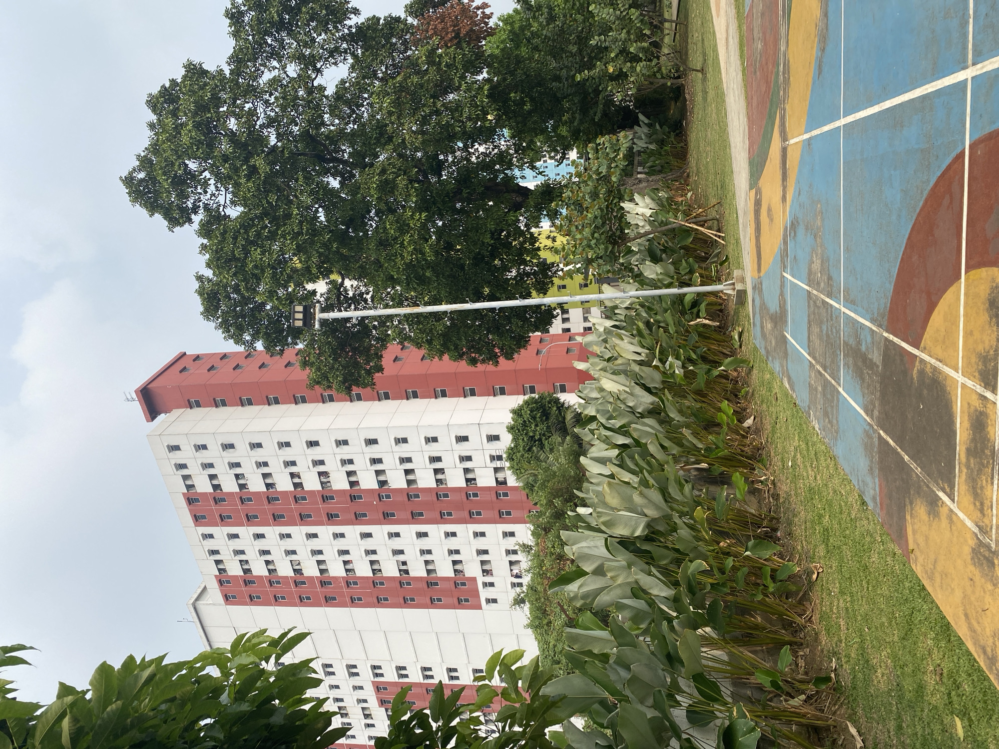 This is a medium shot photograph taken outdoors in a park area in East Jakarta, Indonesia. In the background, a tall, multi-story apartment building with a white facade and red vertical accents dominates the scene. The building has numerous small, rectangular windows and a prominent red section at the top. To the right of the apartment building, a large, lush green tree with dense foliage is visible.
In the foreground, a paved area with brightly colored geometric shapes in blue, yellow, and red serves as a sports court, possibly for badminton or a similar game, indicated by the white lines marking boundaries. Lush green plants with large, paddle-shaped leaves are planted in a row between the paved court and the apartment building. A metal lamppost stands in the middle ground, in front of the plants and between the court and the trees. The sky above is overcast. There are no people clearly visible in the image.