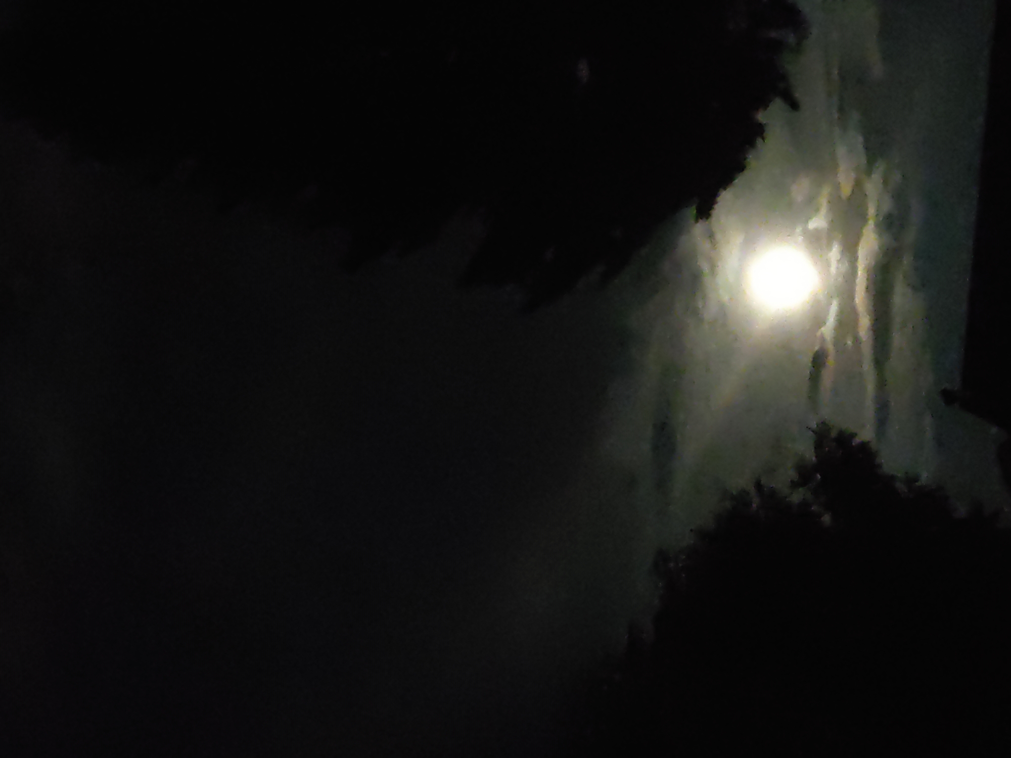 This is a nighttime image of the moon in the sky, with clouds partially obscuring it. Silhouettes of trees are visible on the left and right sides of the frame. In the lower portion of the image, the outline of a building's roof is discernible. The image does not provide any specific information or visual cues to determine a location within the city of Ridder, Kazakhstan.